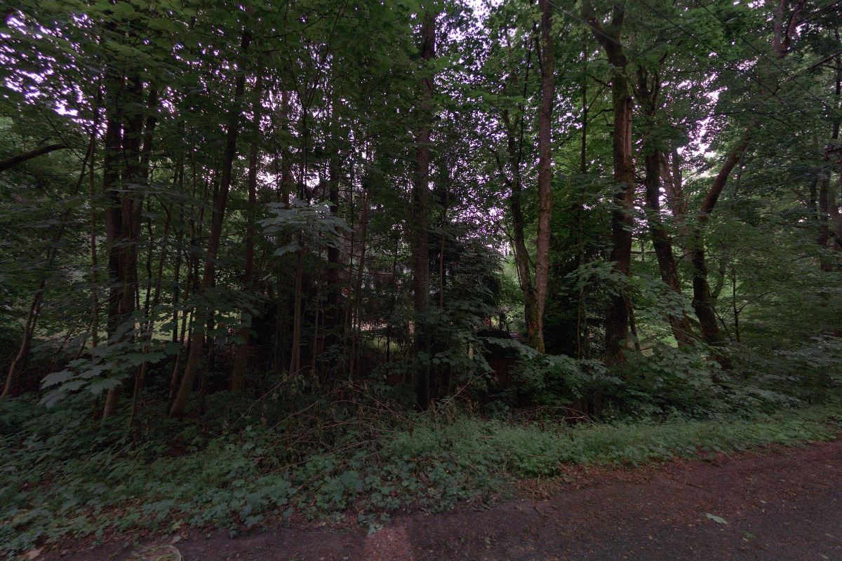 Tereza Charvátová Přidalová