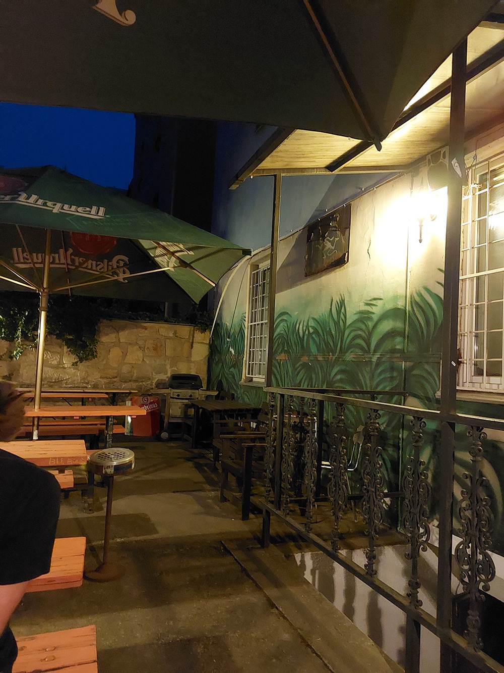 Pink Panther Pub foto 2