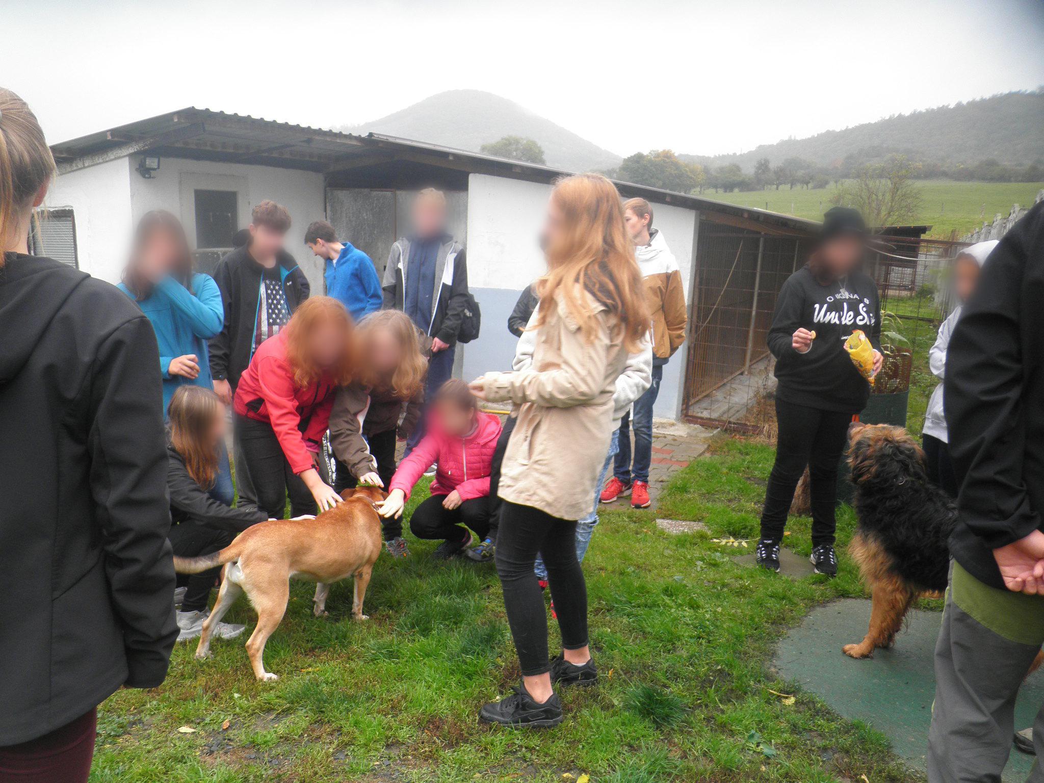 Česká společnost přátel zvířat, z.s., Útulek ,, Psí domov" Řepnice foto 6