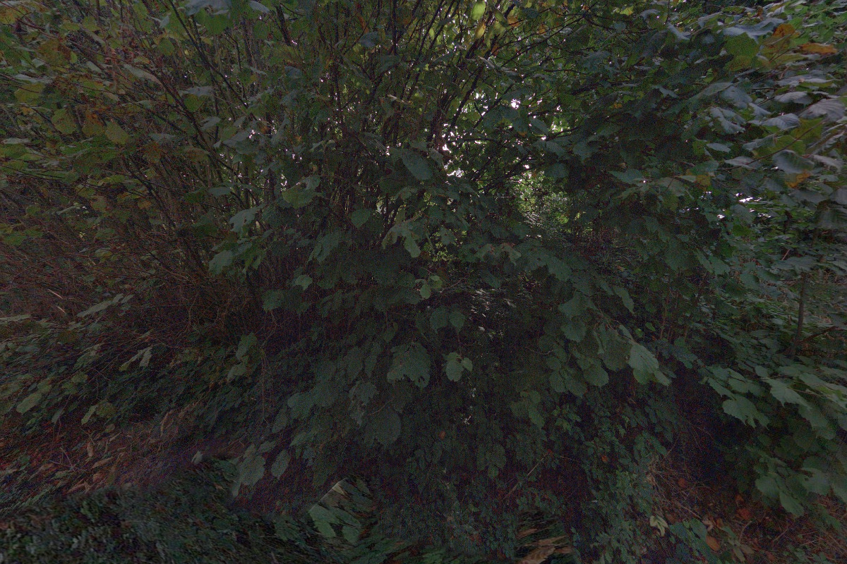 Belmomento.cz foto 2