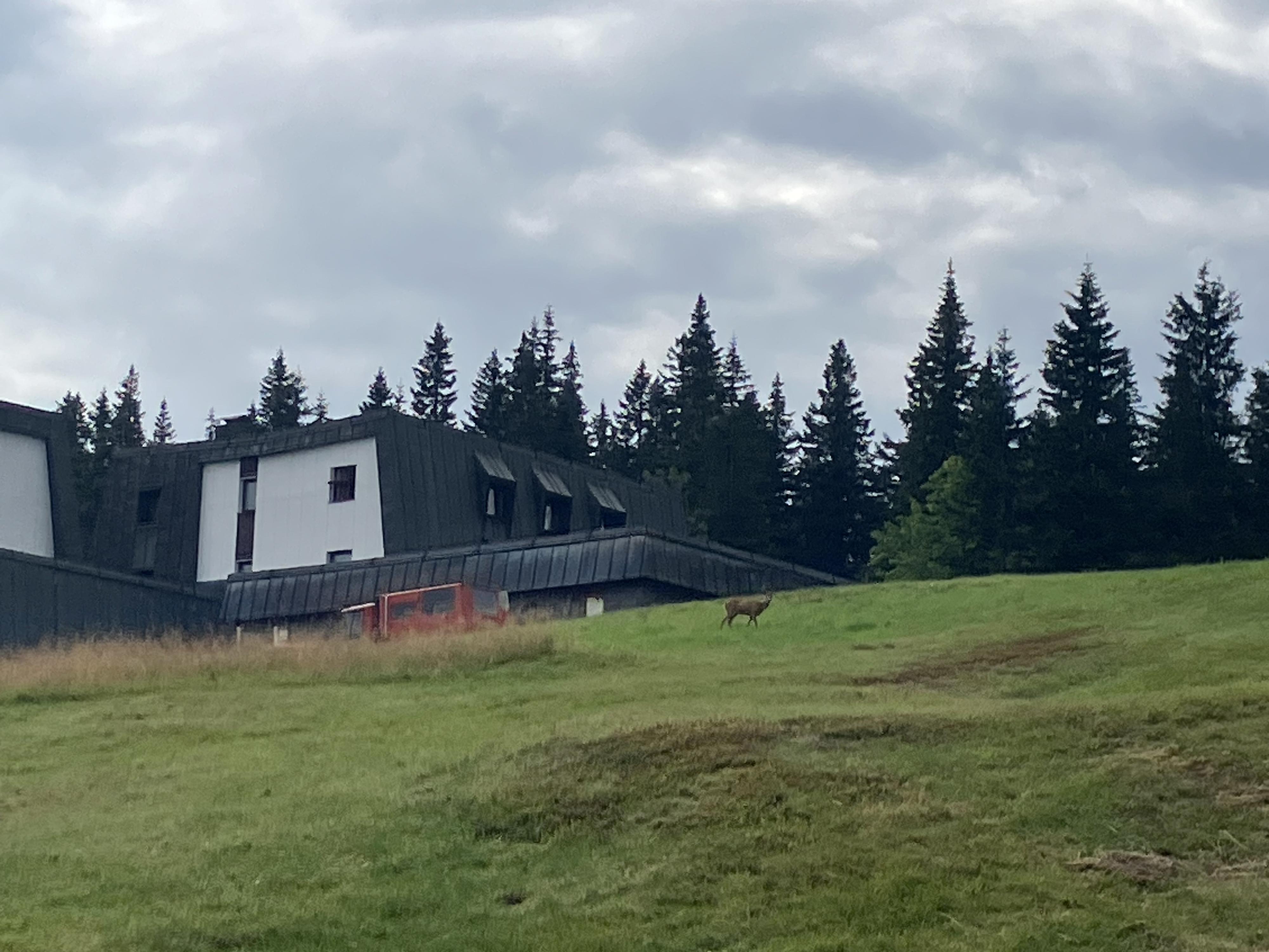 Hotel Černá Bouda foto 4