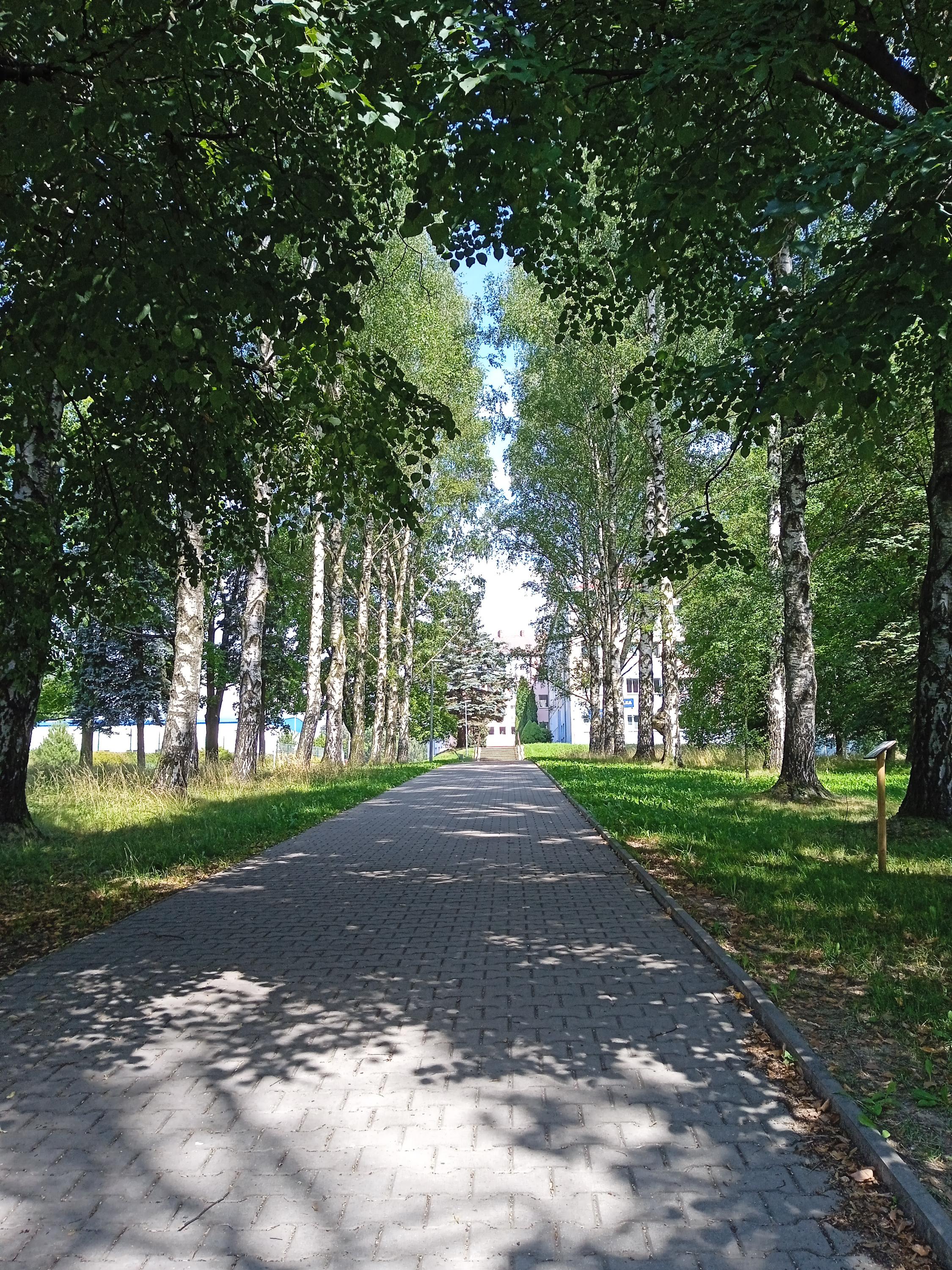 SŠTD G. Habrmana Česká Třebová, Skalka foto 5