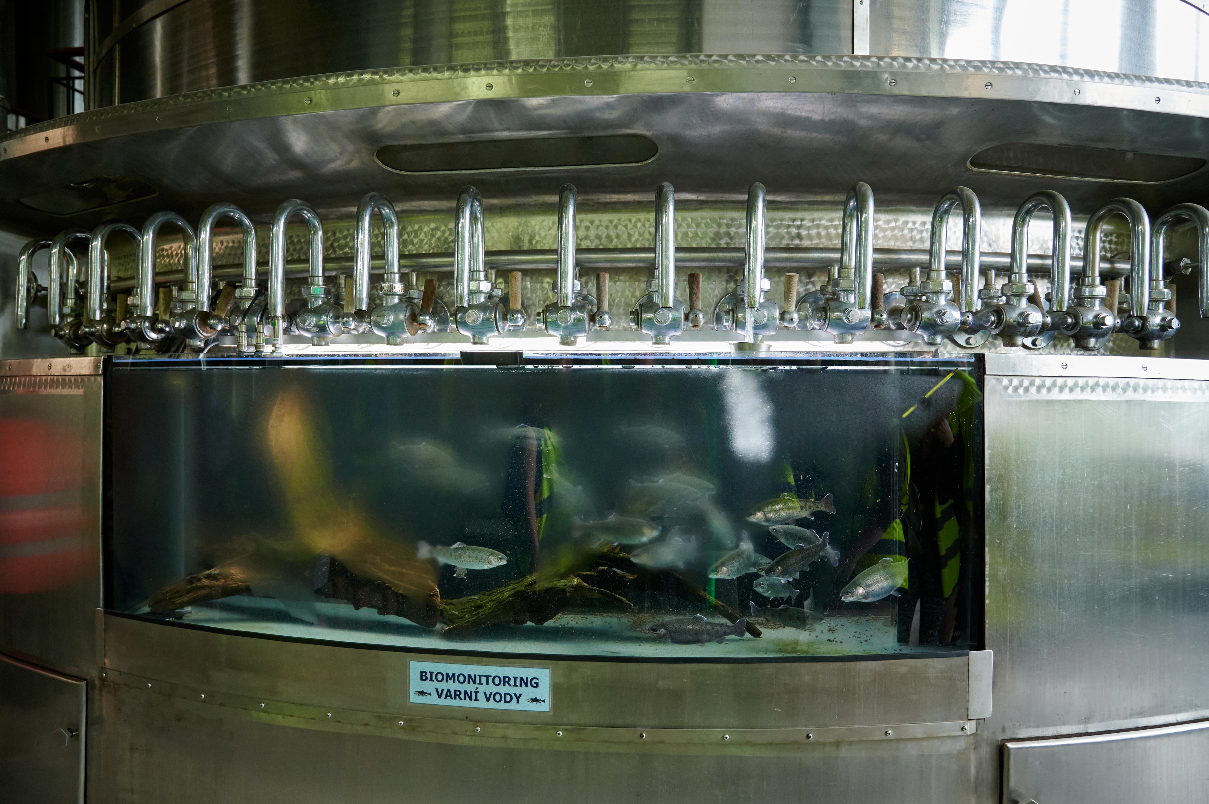 Pivovar Radegast foto 4