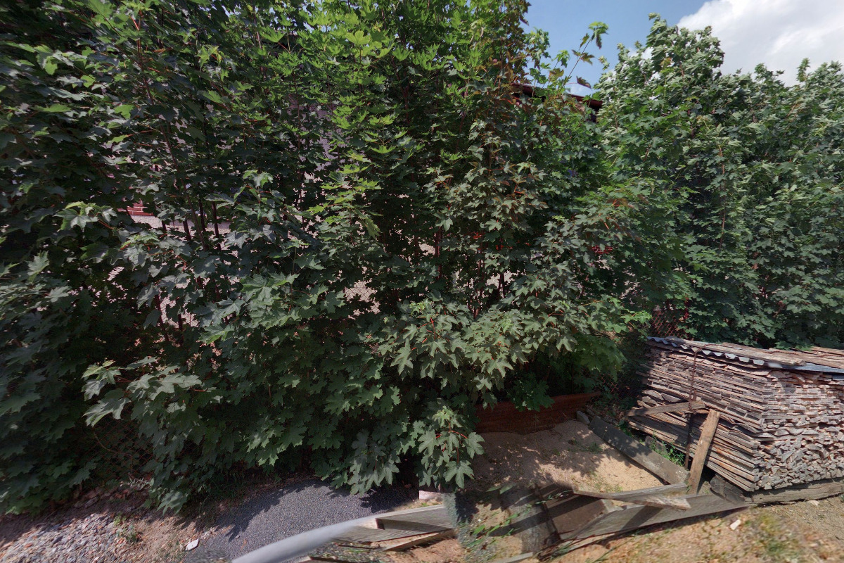 Junák - český skaut, středisko Bílá liška Červená Voda, 4. oddíl Cassiopea