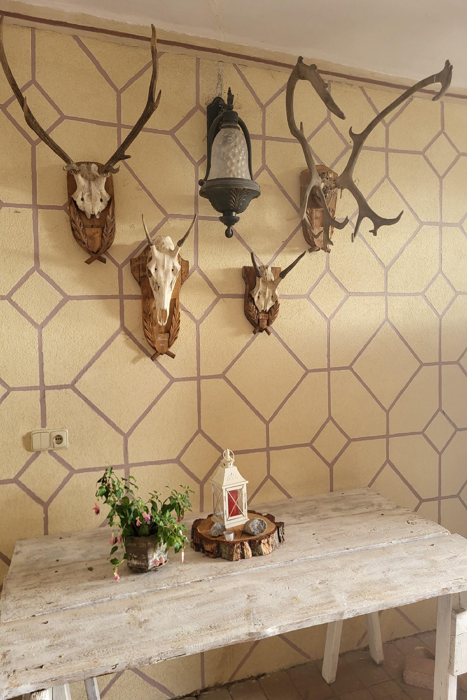 Zámecké apartmány Zdíky foto 6