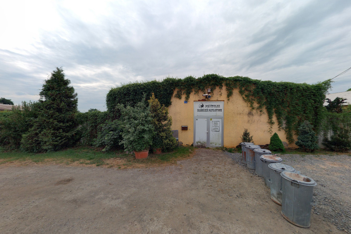 Psí útulek - Tomáš Schulz