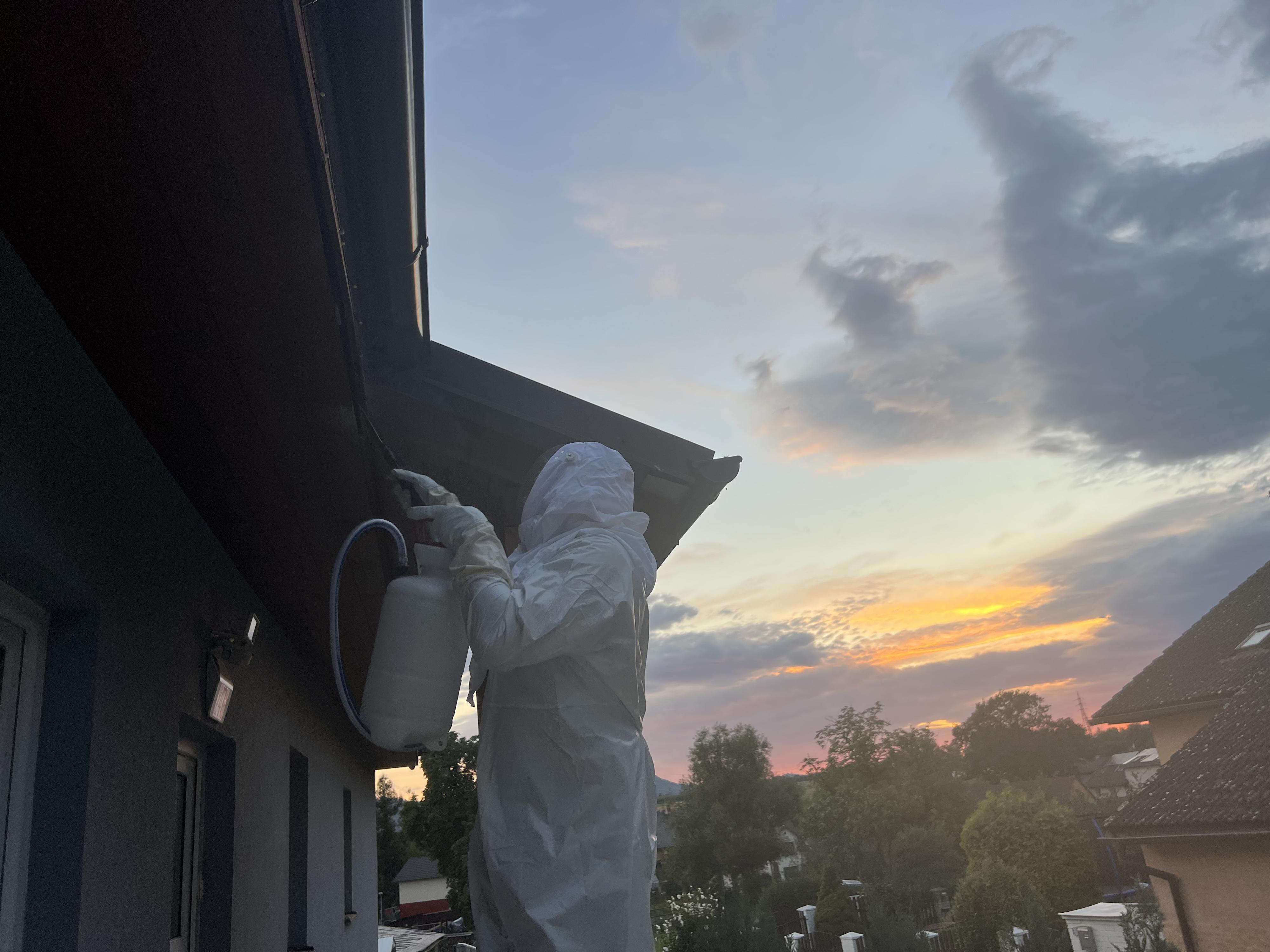Stop štěnicím - deratizace, dezinsekce, dezinfekce foto 4