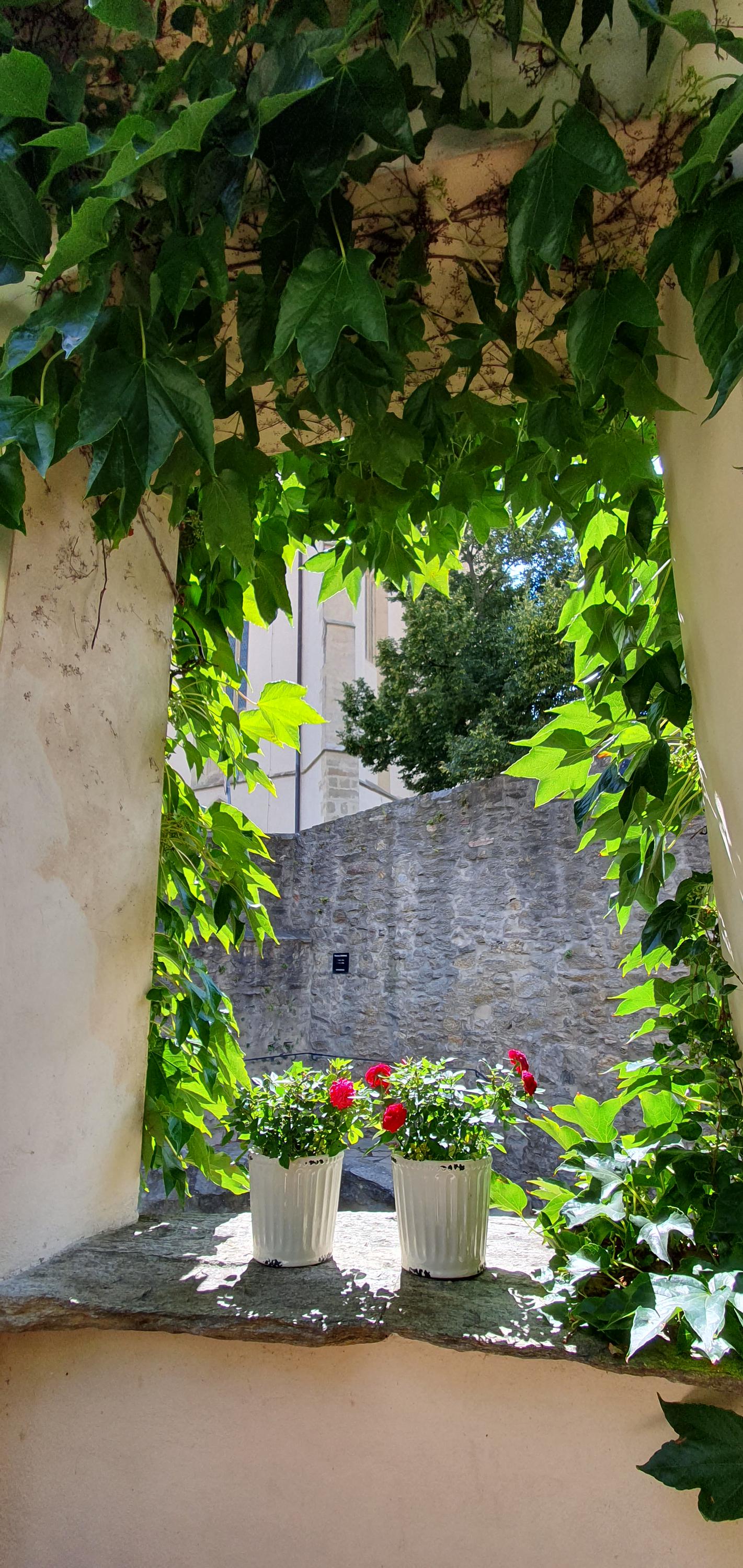 Mikuláš bistro foto 3