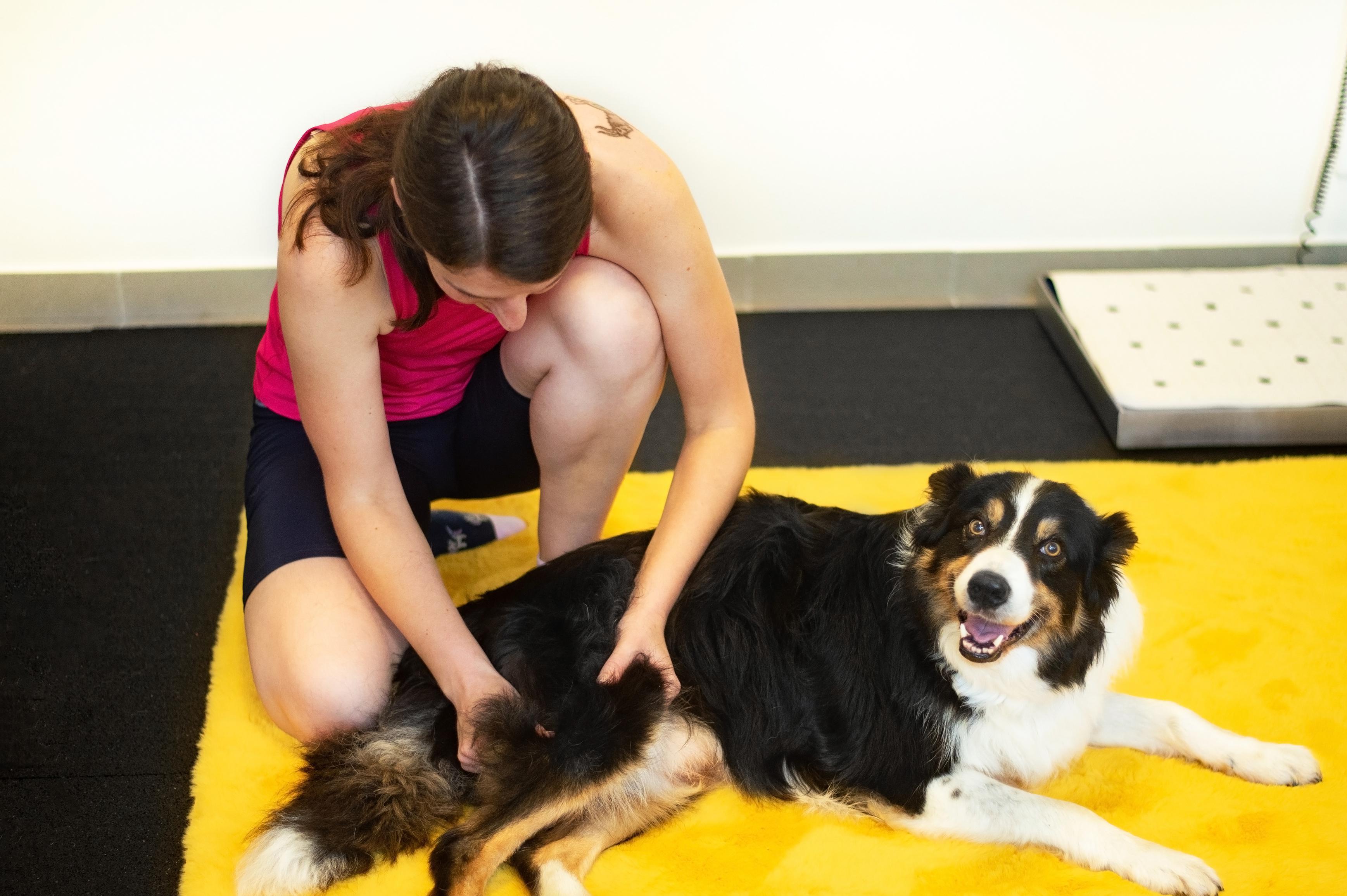 Fyzioterapie psů Zuzka FyzioCani