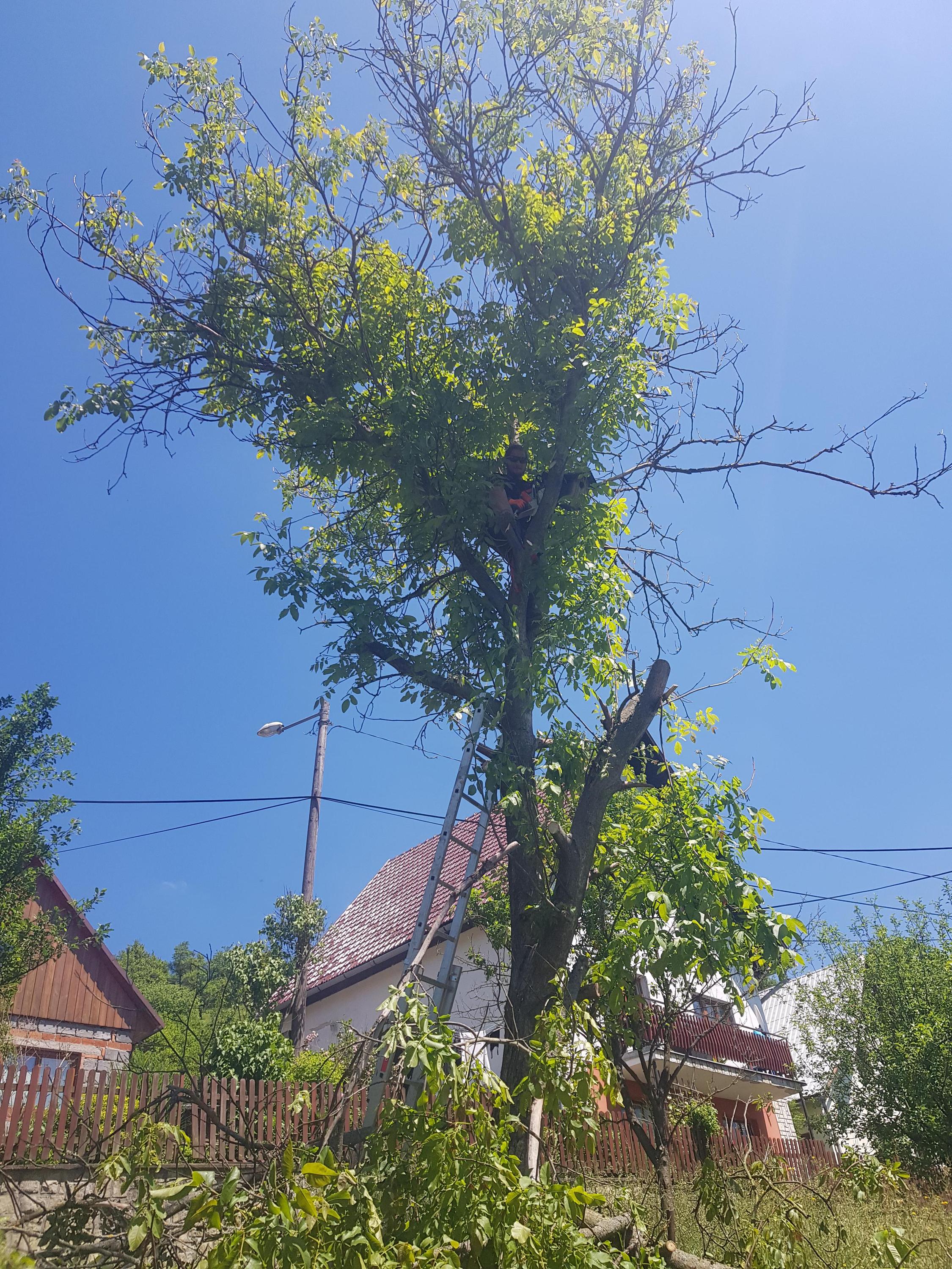T-job&VerticalWork foto 2