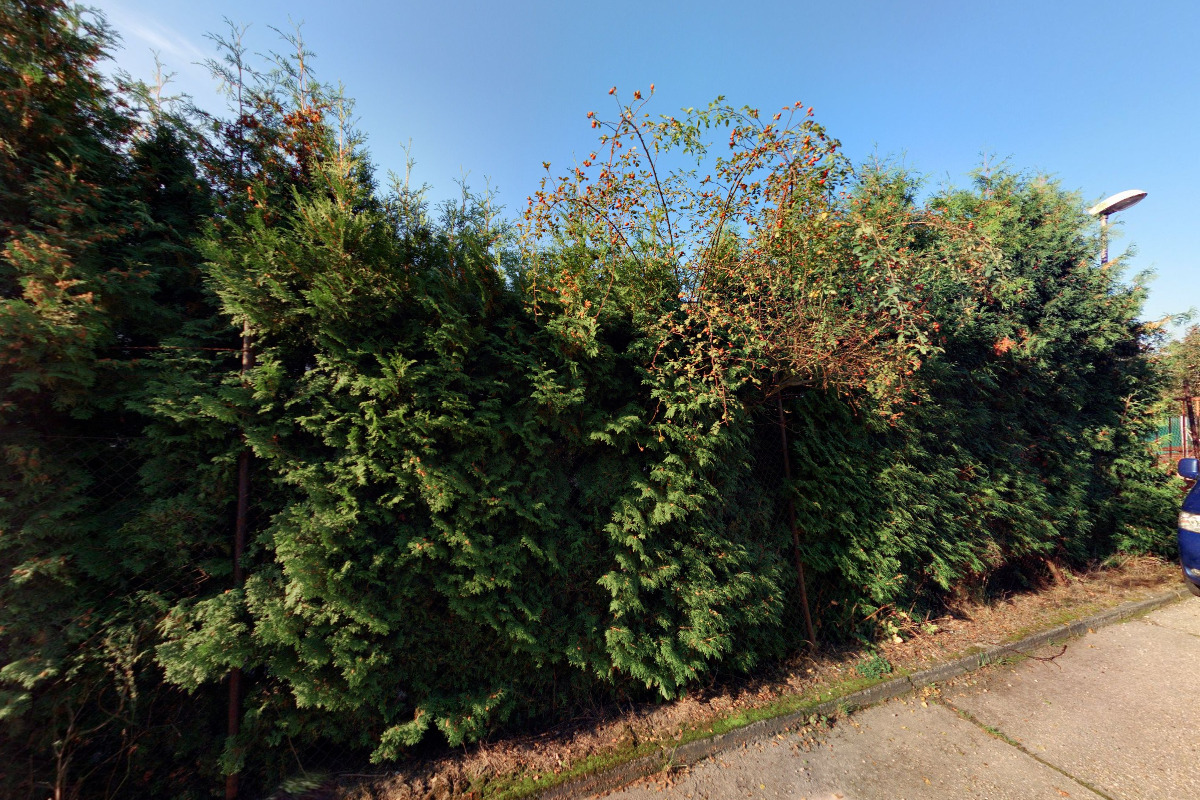 AutoMoto Havlis - Pavel Havlíček foto 3