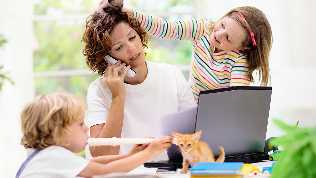 Kancelář pro zastupování občanů při jednání s úřady ČR foto 4