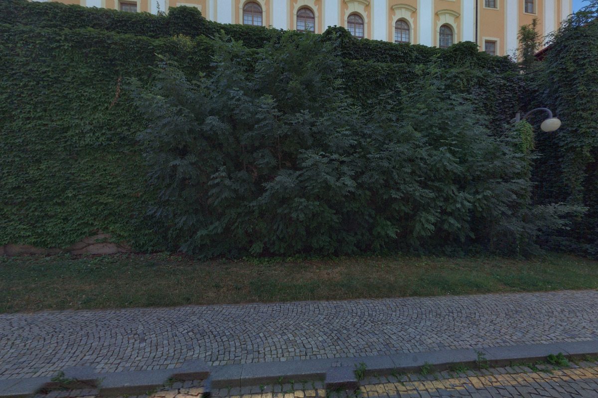 Vlastivědná společnost muzejní v Olomouci foto 2