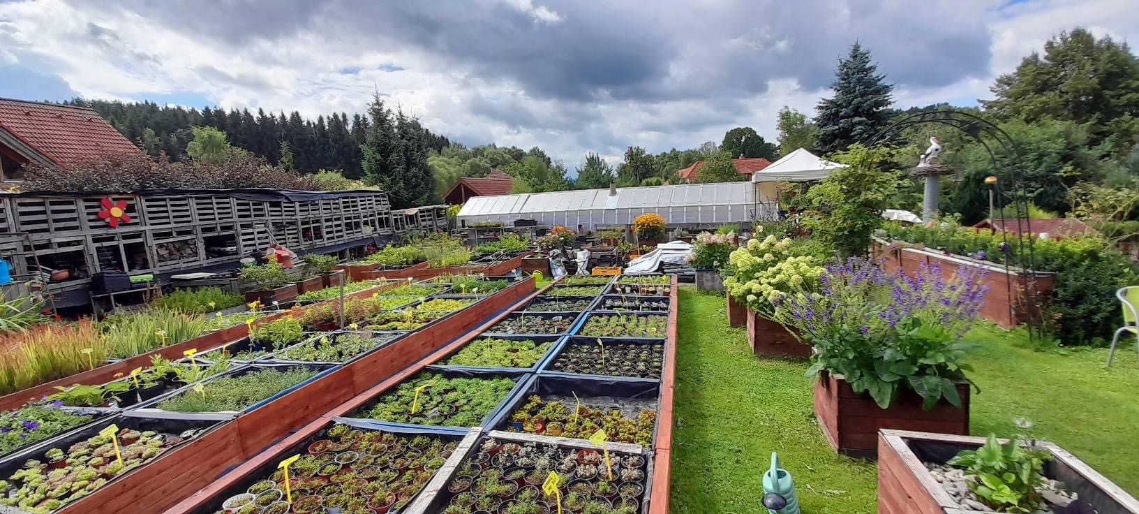 Zahradnictví Marie Žlunková foto 2