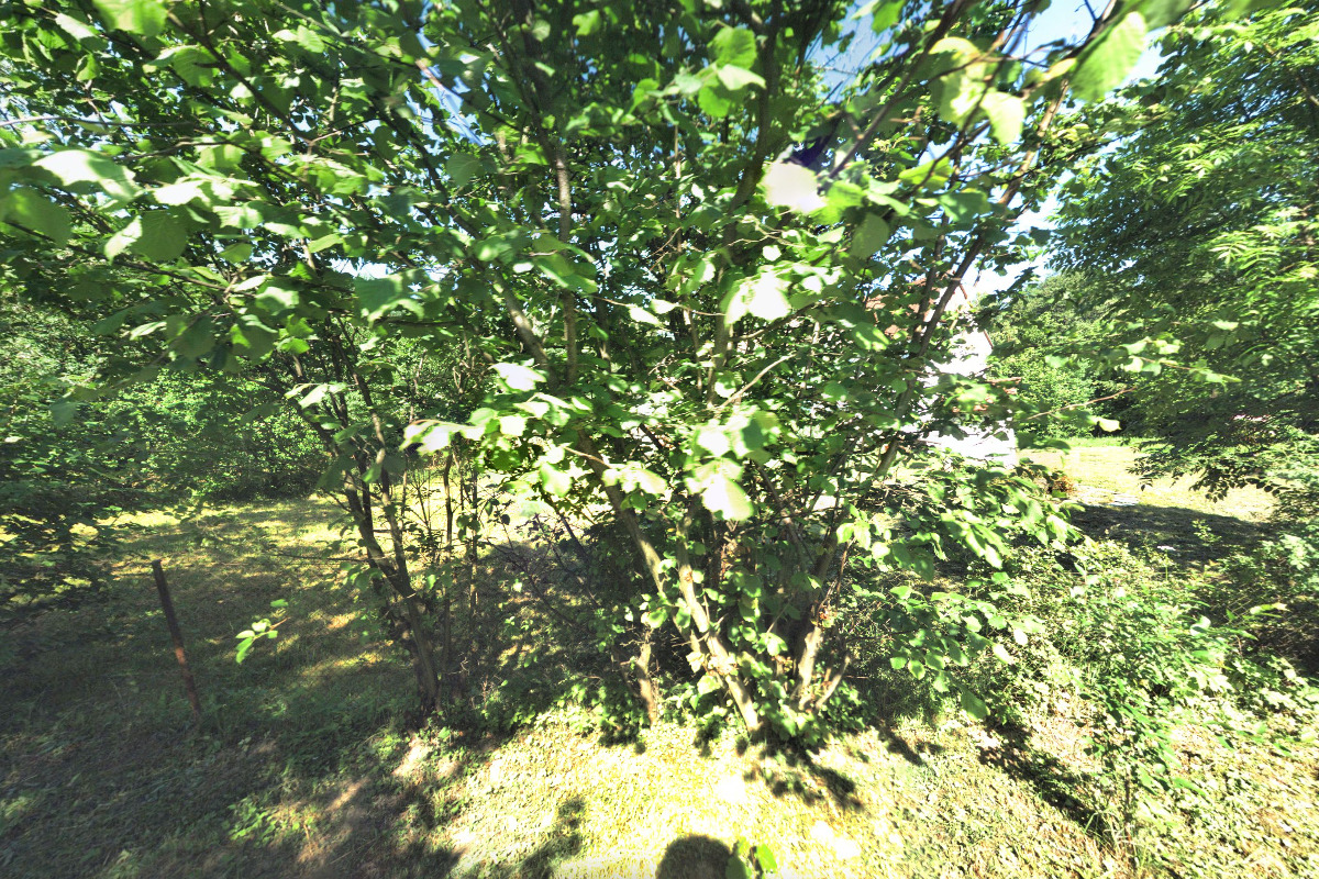 REFERENDUM - Hlas Lidu