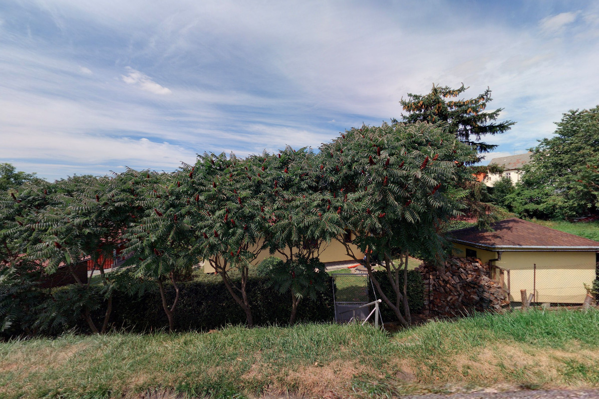 Kordík Jiří - Malířství, Natěračství