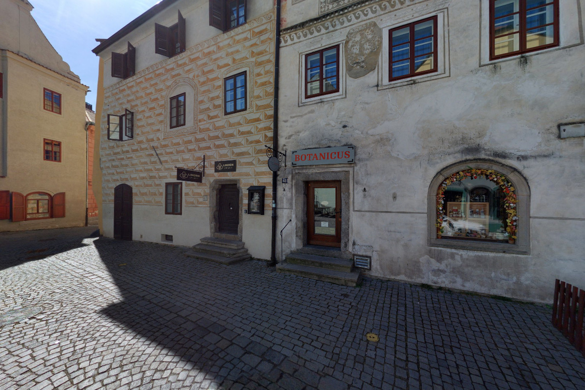 Alena Šimková foto 3