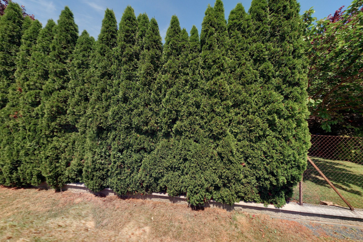 MŠ Company - inteligentní domy