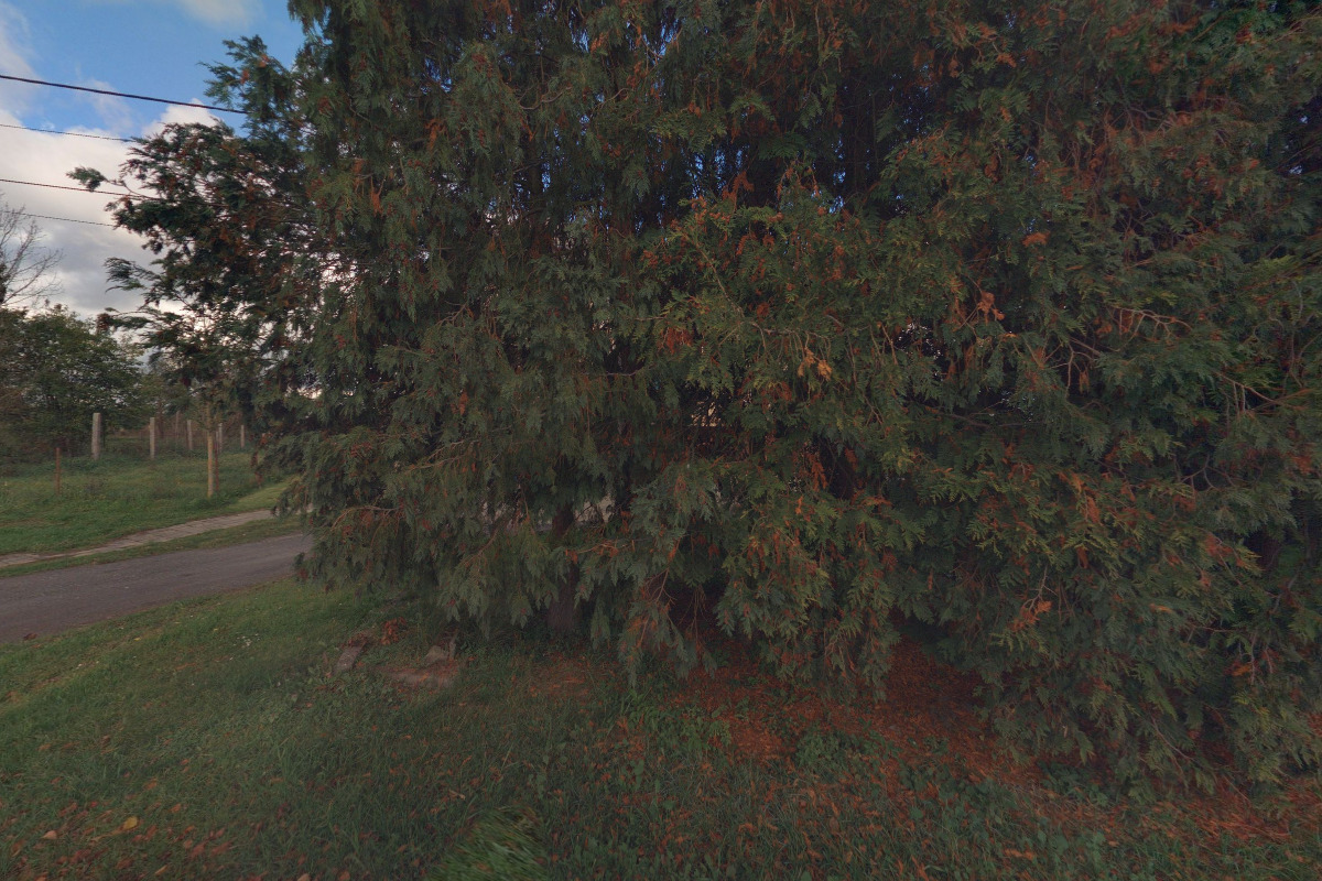 PLOŠINY POŠUMAVÍ foto 5