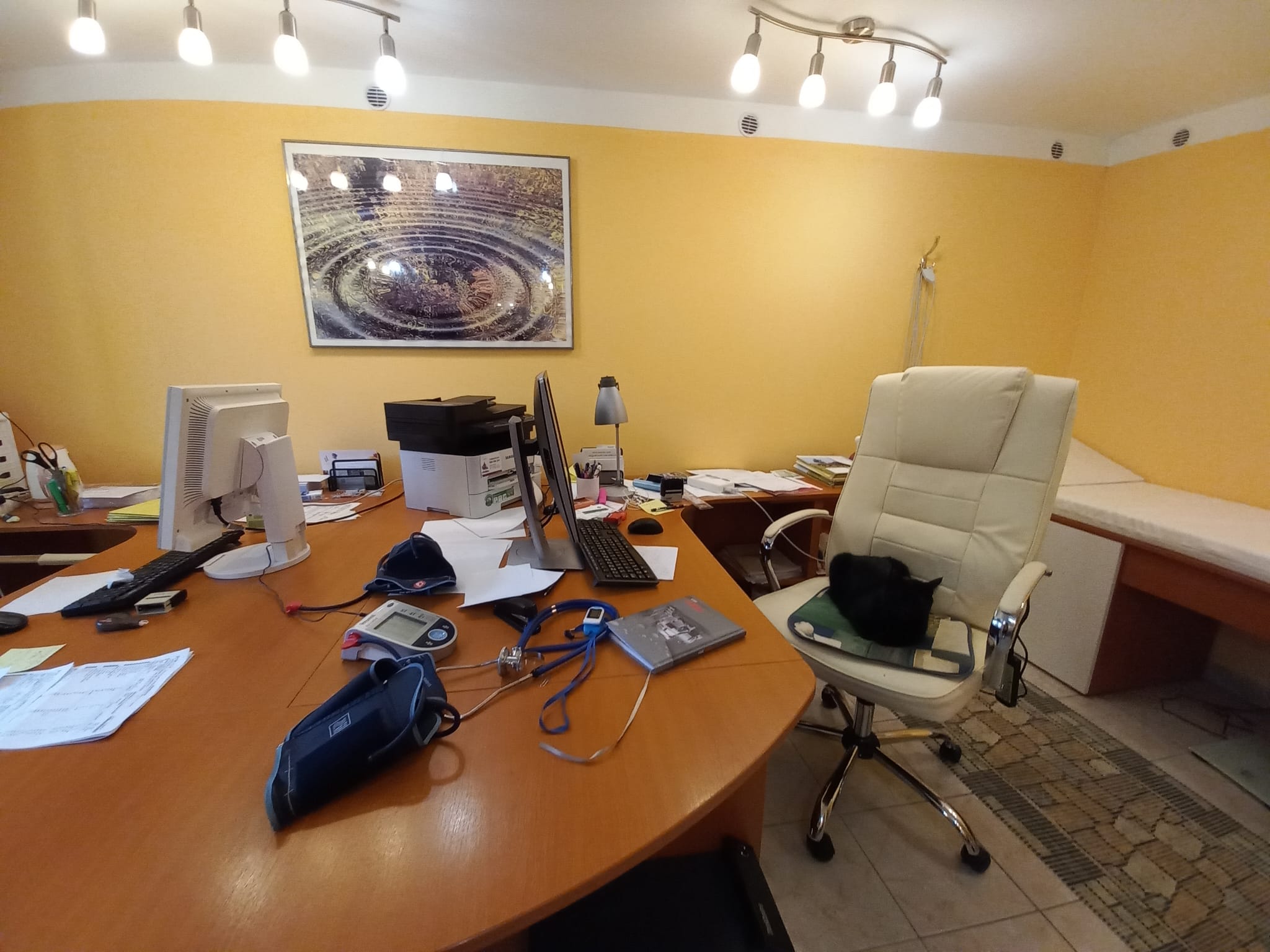 Mediartemis s.r.o., praktický lékař pro dospělé foto 2