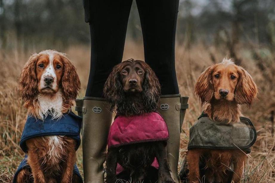 Síla tradice. Jistota kvality. Le Chameau holínky
