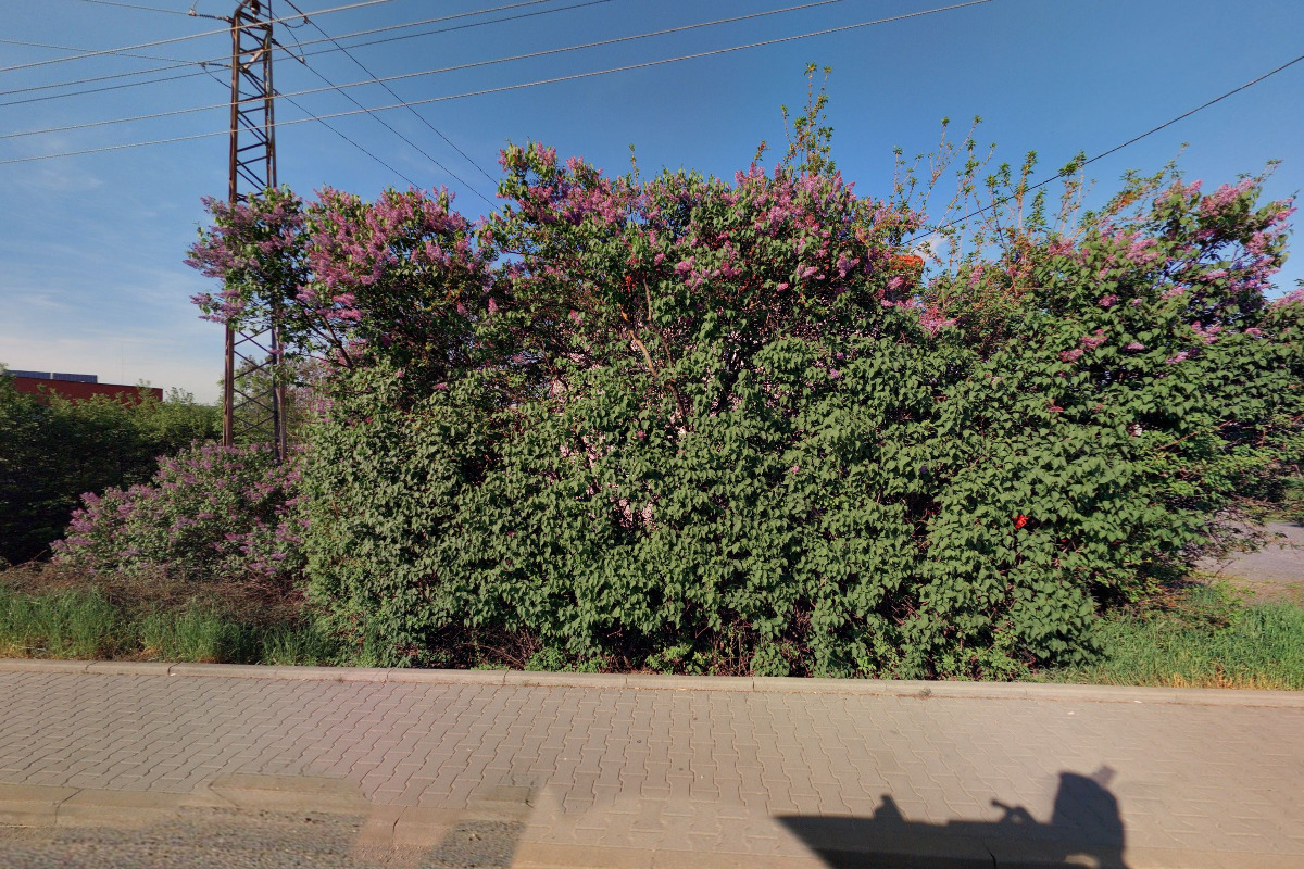 Naše úklidovka s.r.o. foto 4