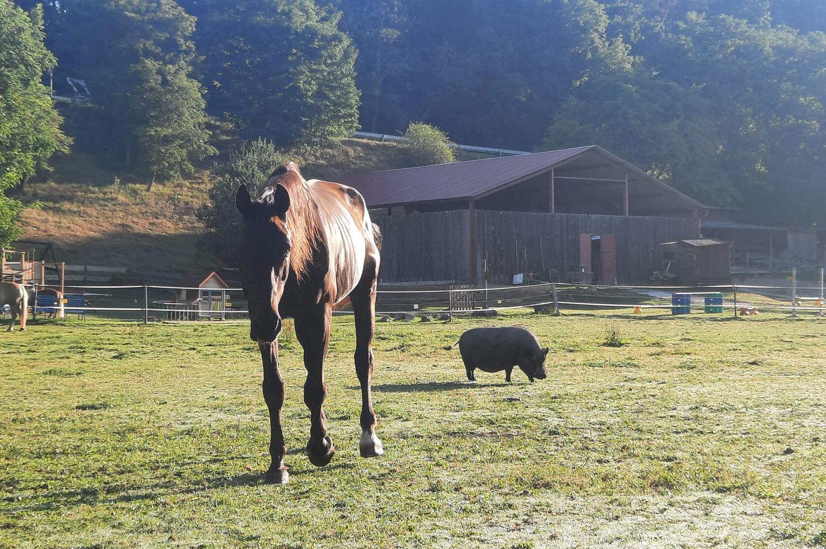 Farma Jitřenka, z.s. foto 1