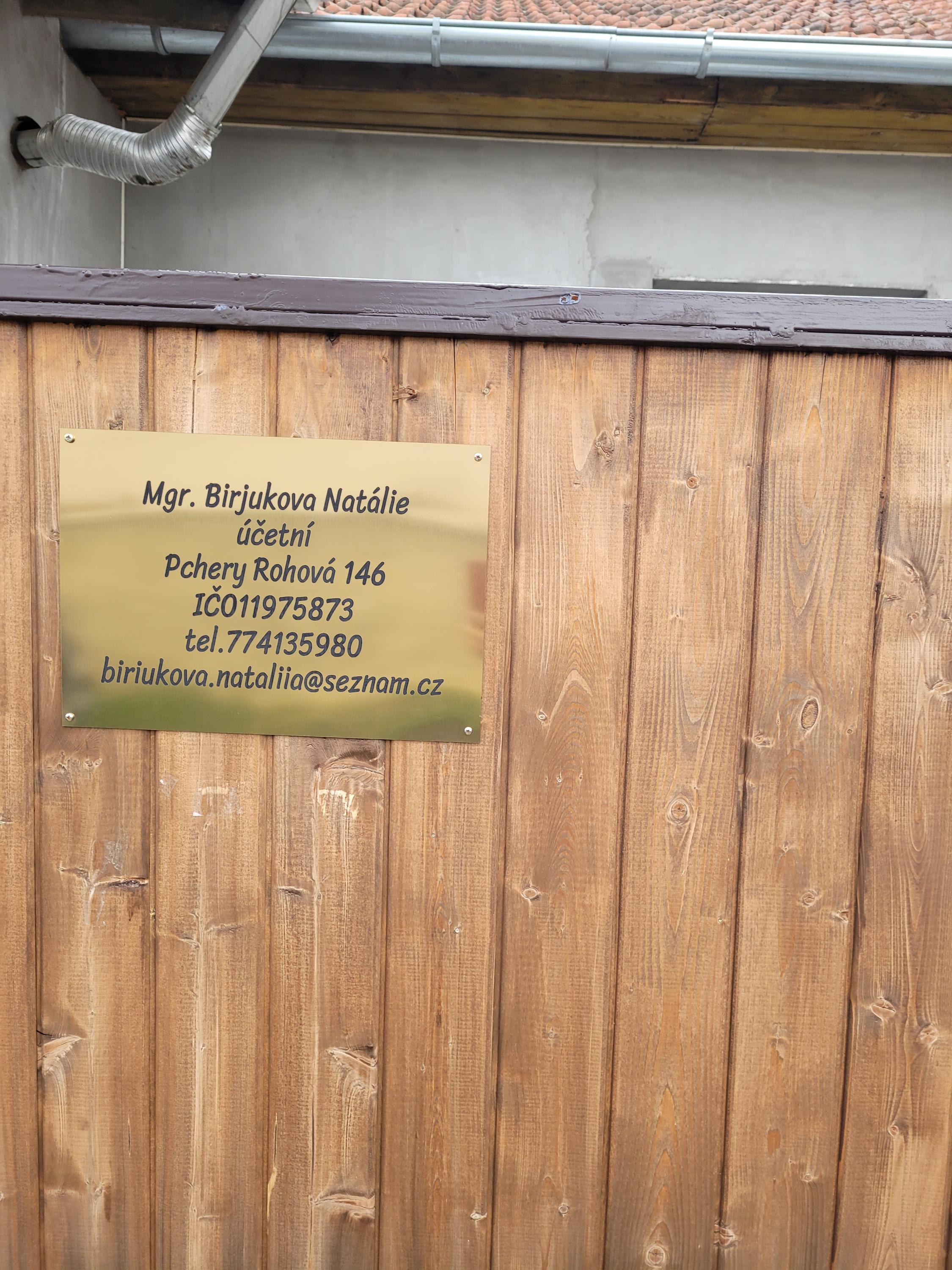 Účetní služby Natálie Birjukova foto 2