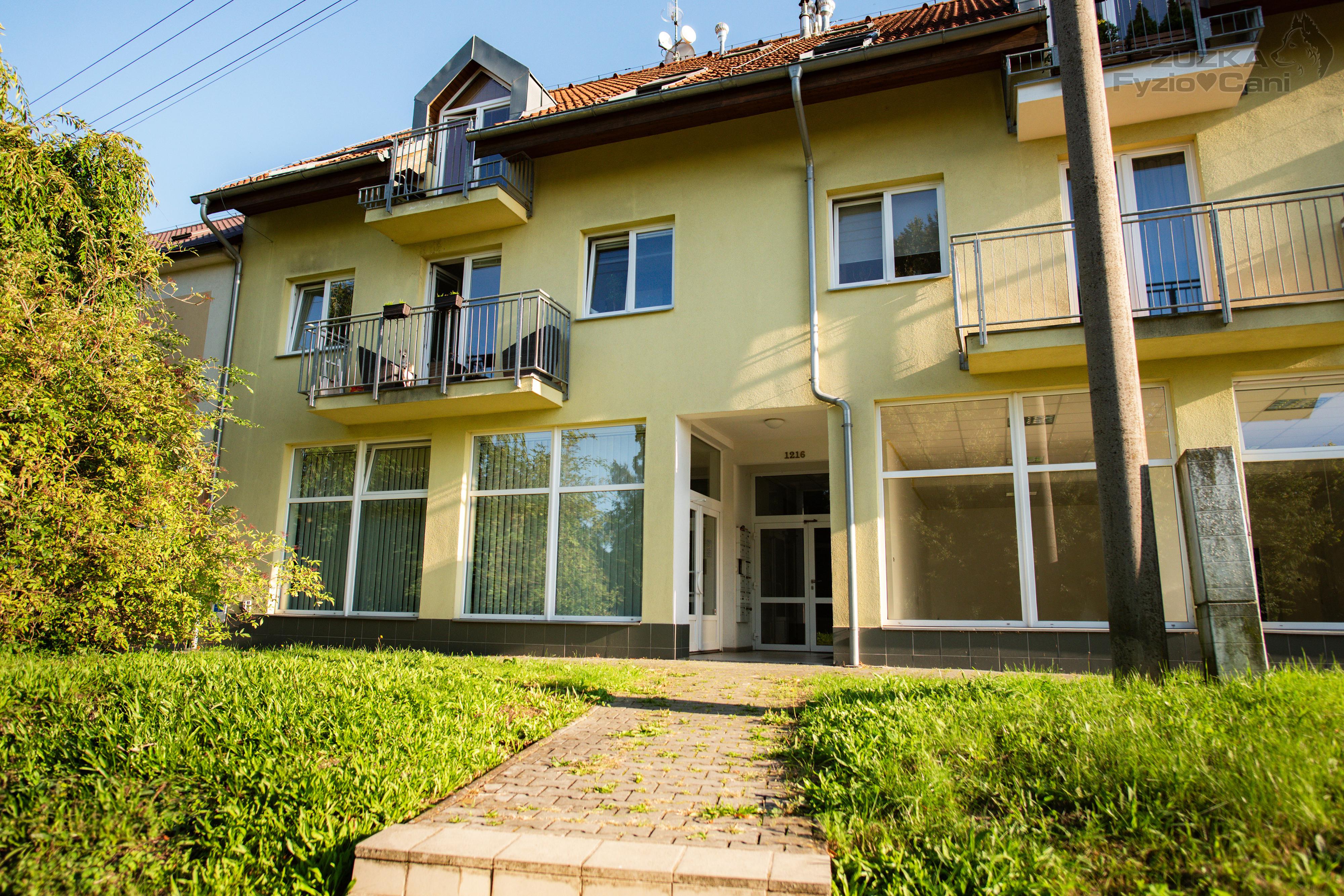 Fyzioterapie psů Zuzka FyzioCani foto 3