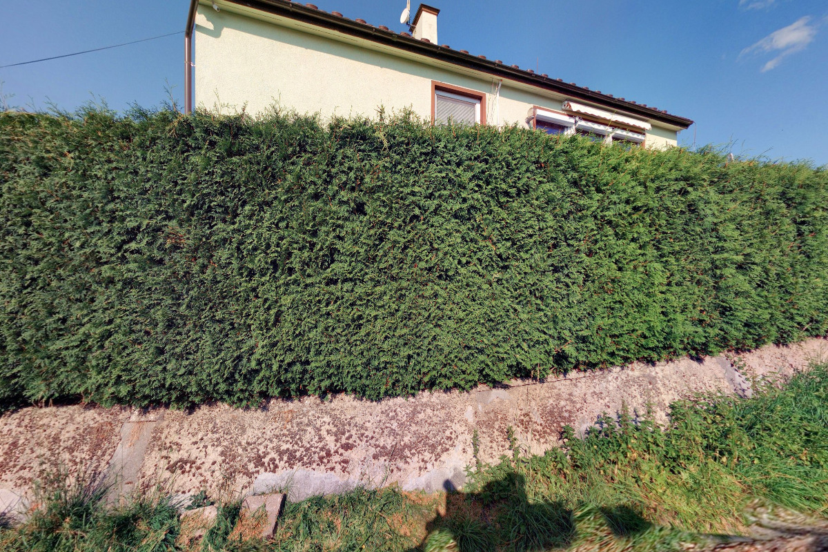 In&Ex – Milan Vodrážka