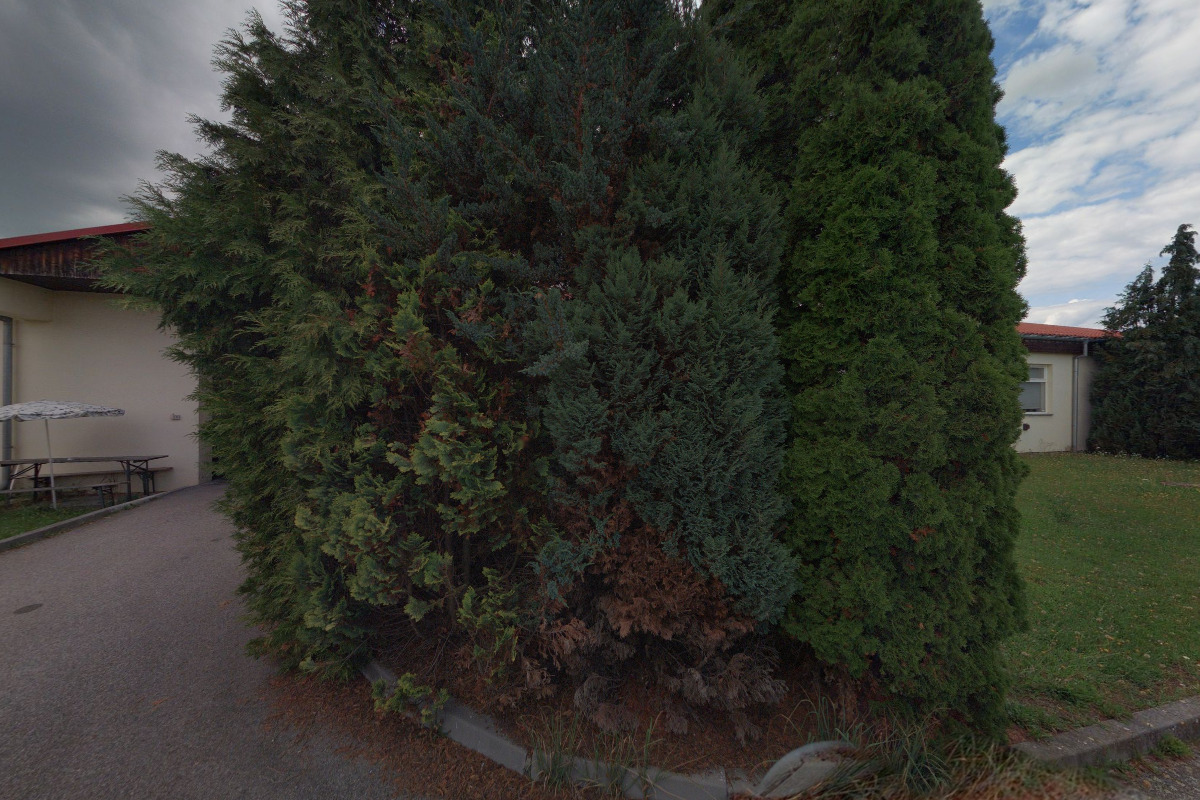 Praktic model klub o. s. foto 1