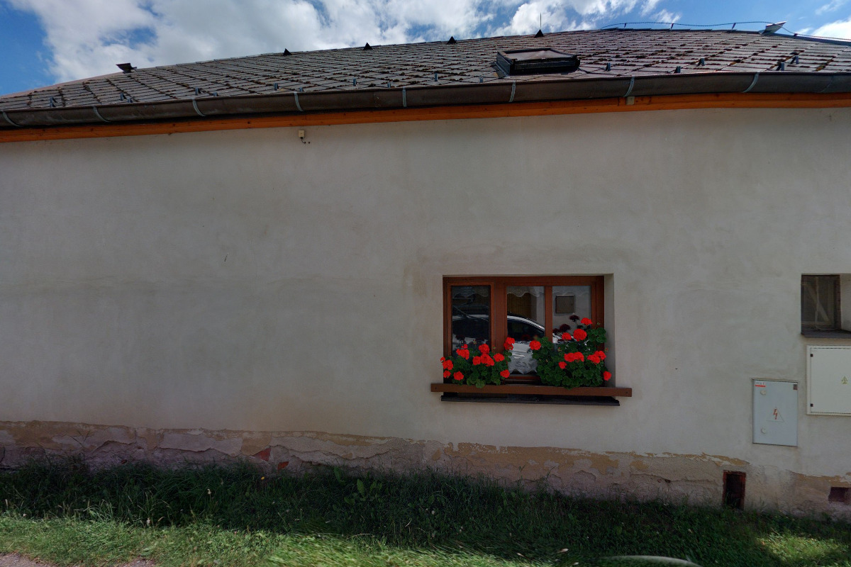 Večerní květiny foto 2