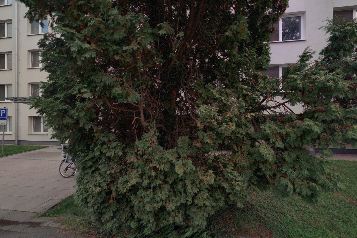 Koloproktologická ambulance - Nemocnice AGEL Přerov