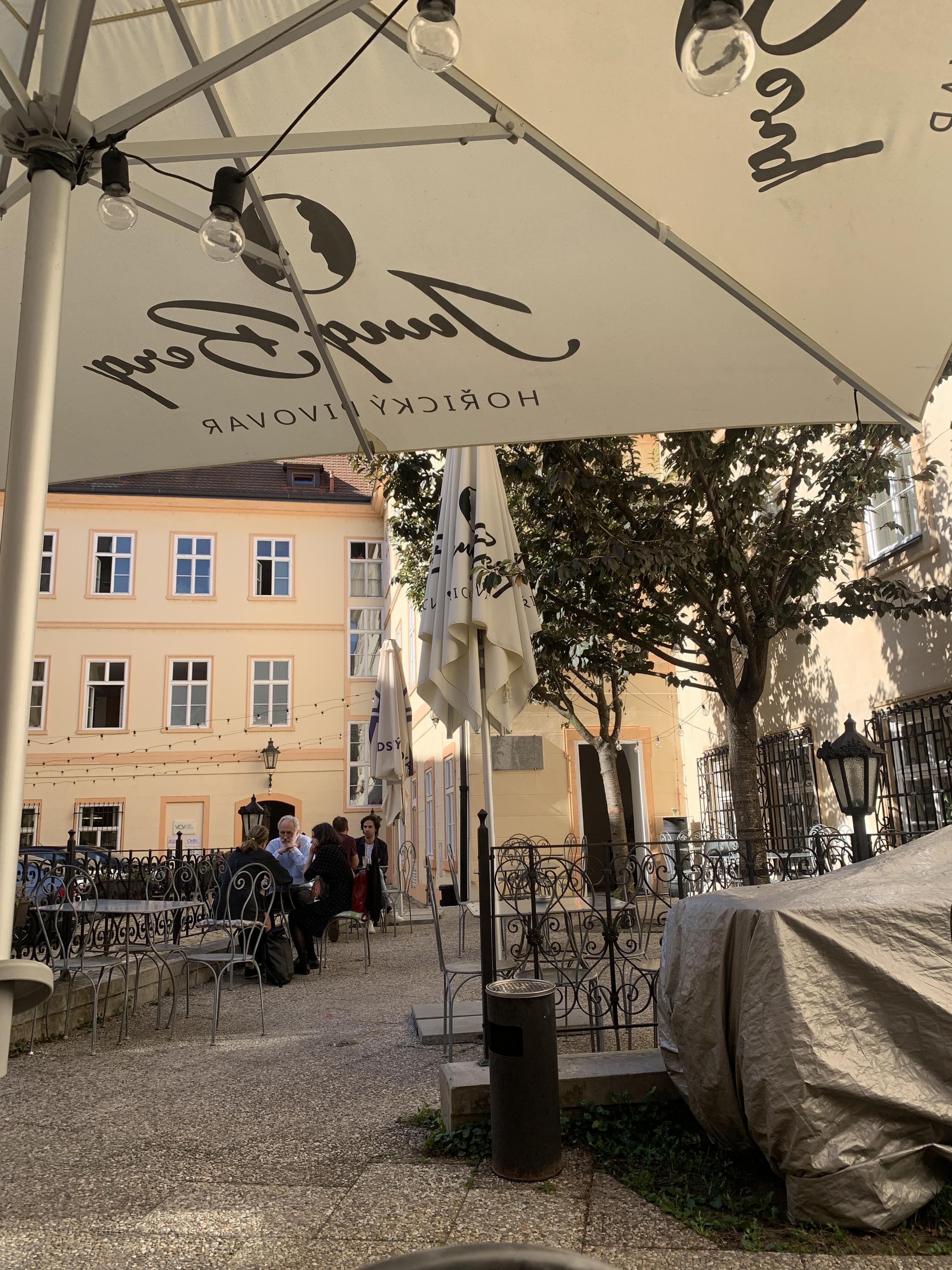 Café Husovka foto 5