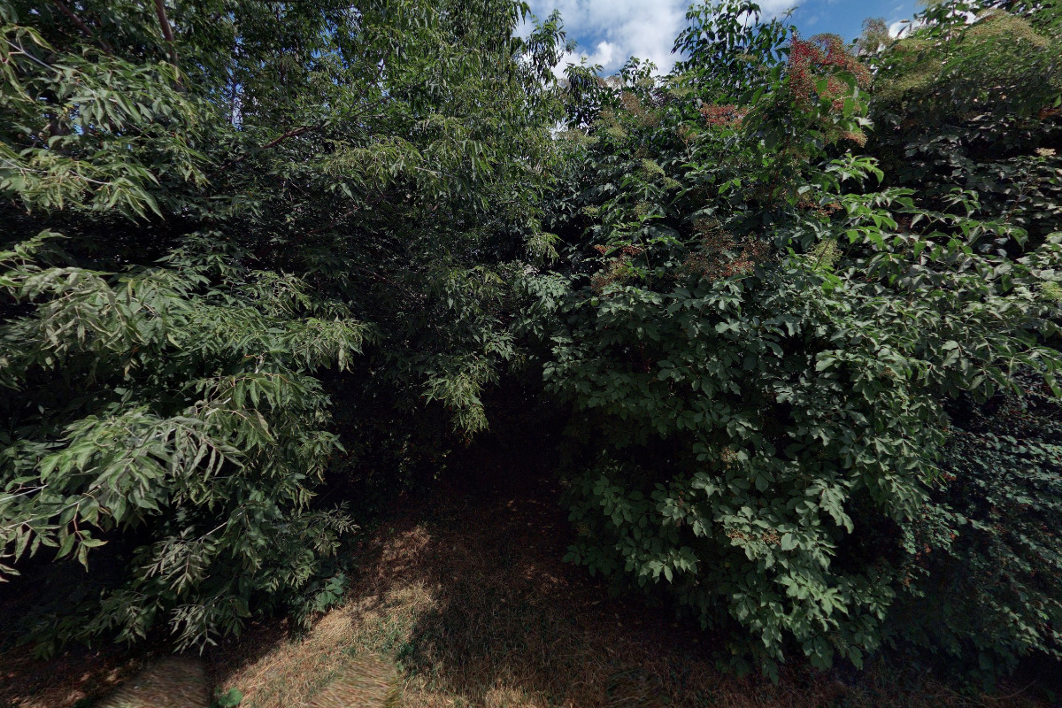 STV ARMS, spol. s r.o.