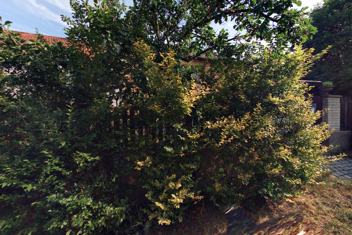 Taekwon - Do ITF Raptor Olomouc foto 2