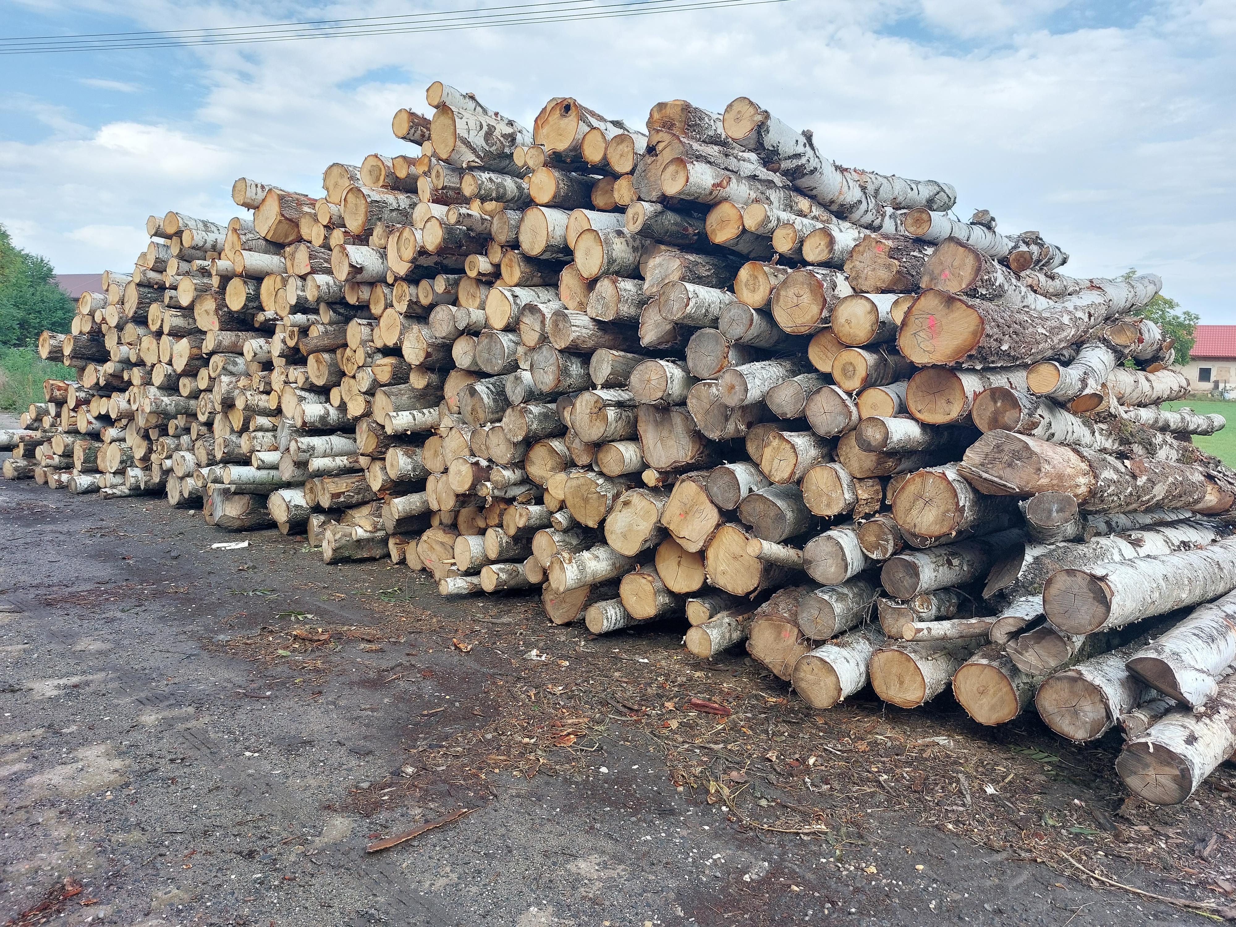 PALIVOVÉ DŘEVO STEELPARK foto 4