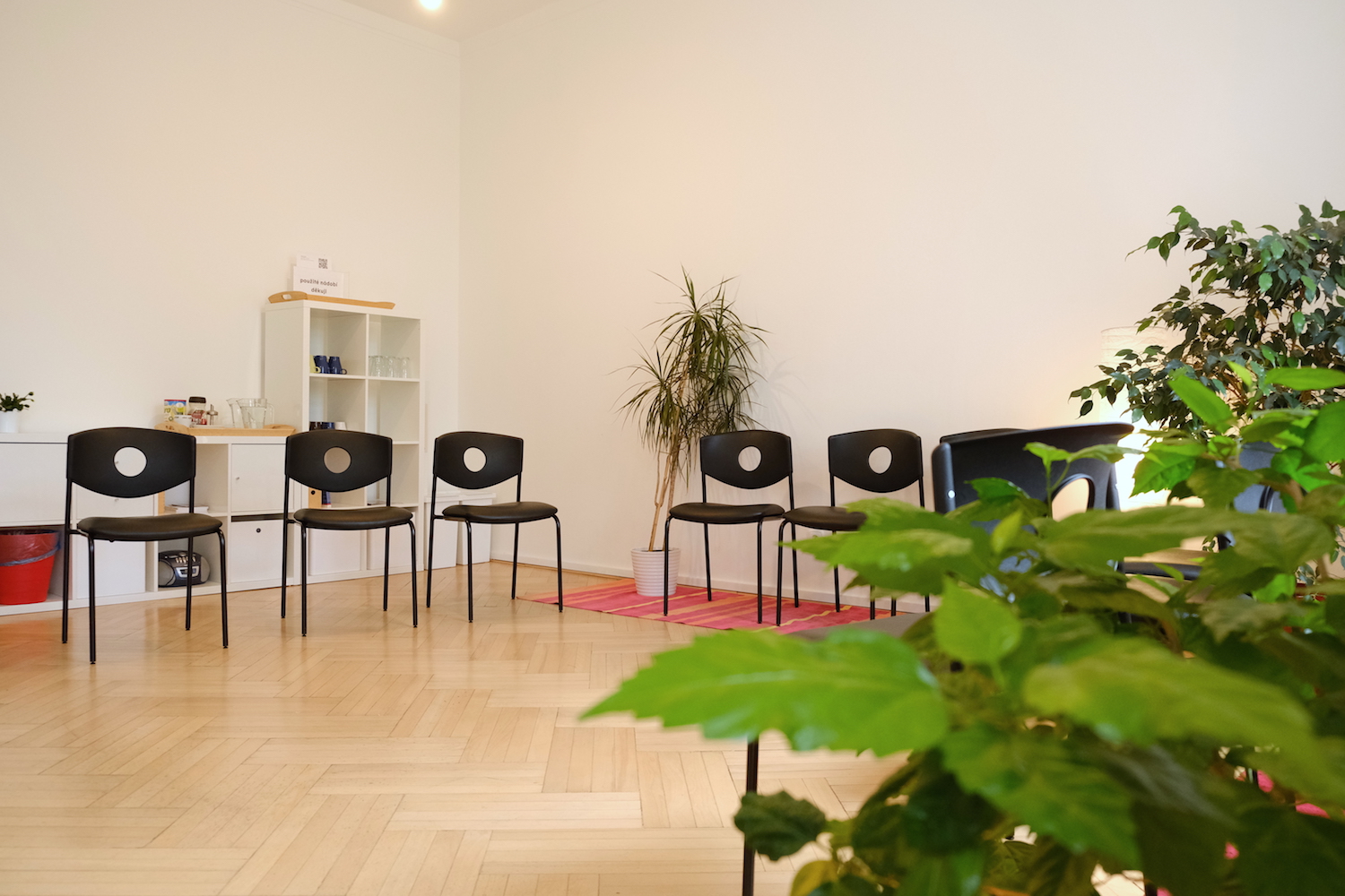 Aperio - Společnost pro zdravé rodičovství, z. s. foto 2