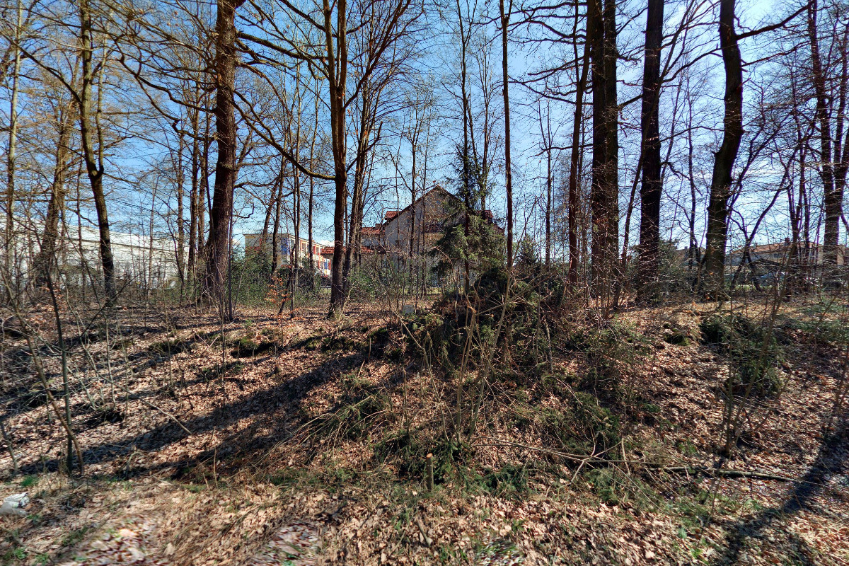 Domov se zvláštním režimem Pomněnka