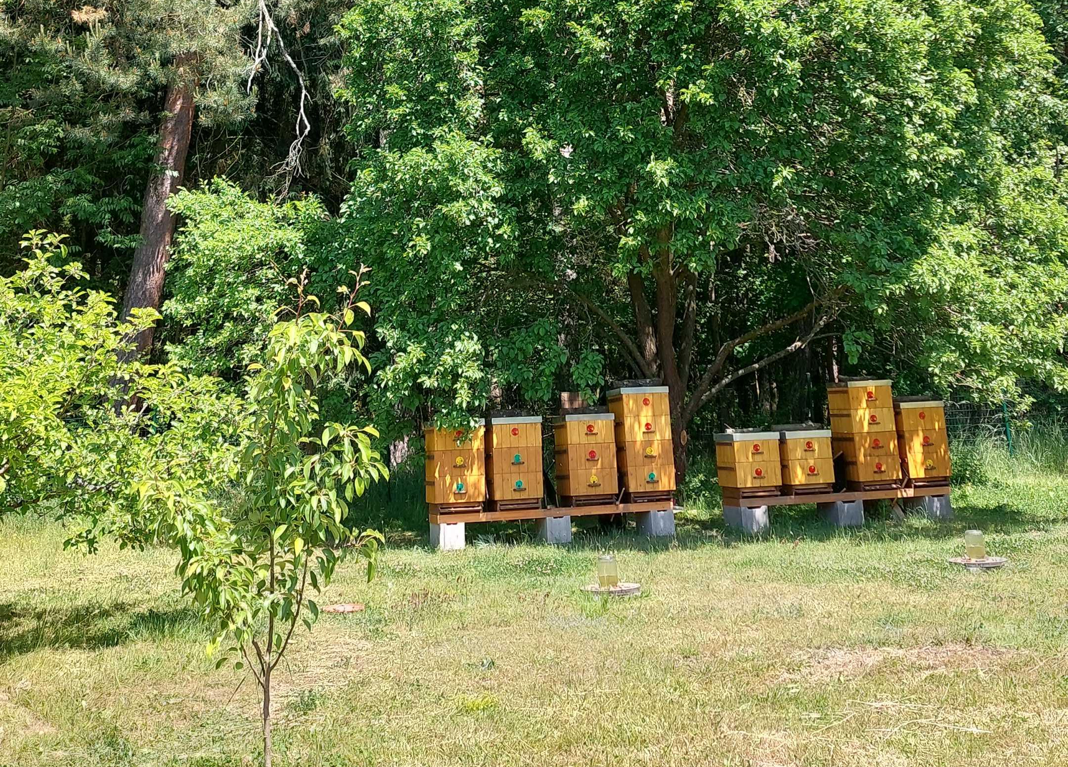 Včelařství Jiří Bečka