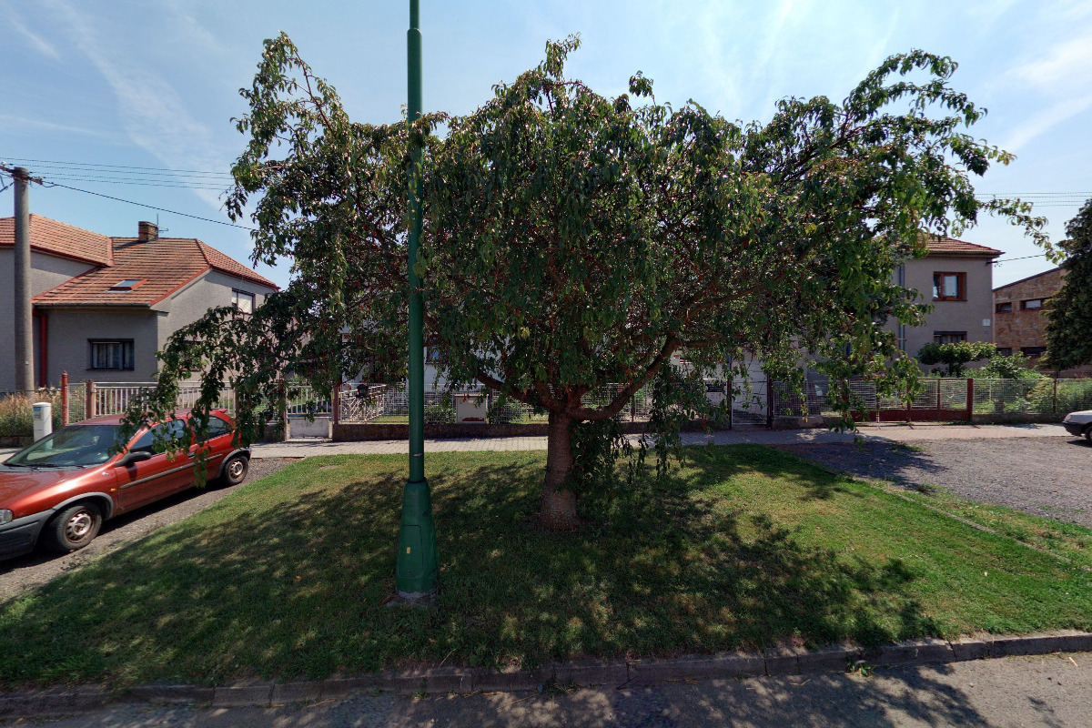 Restaurace Pivovarka foto 3