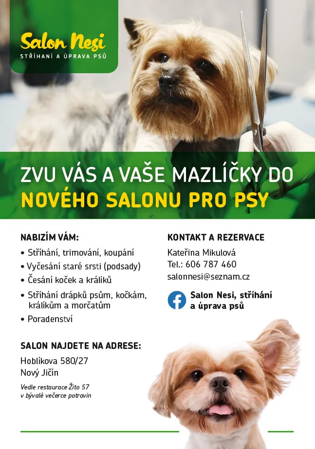 Salon Nesi foto 2