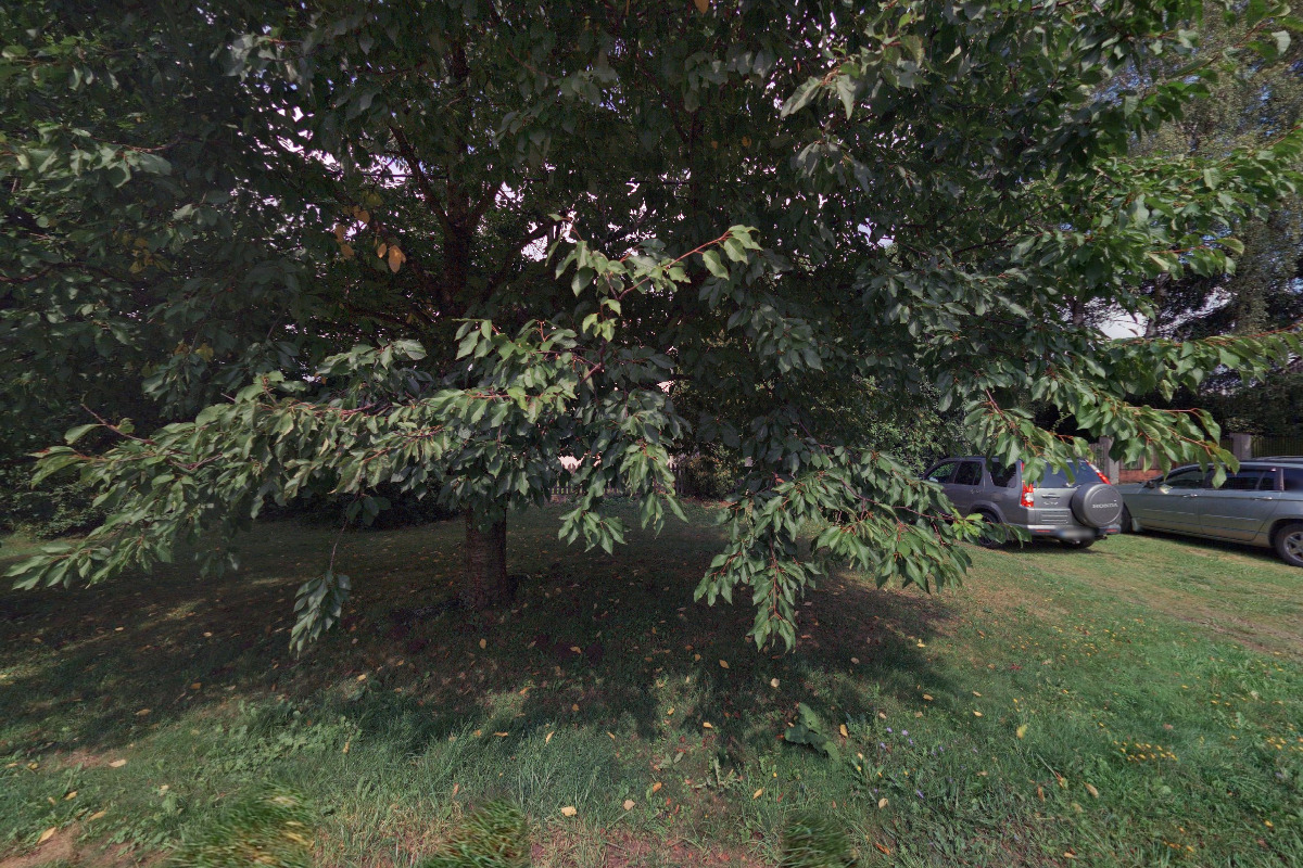 Tomáš Horký - zednictví foto 1