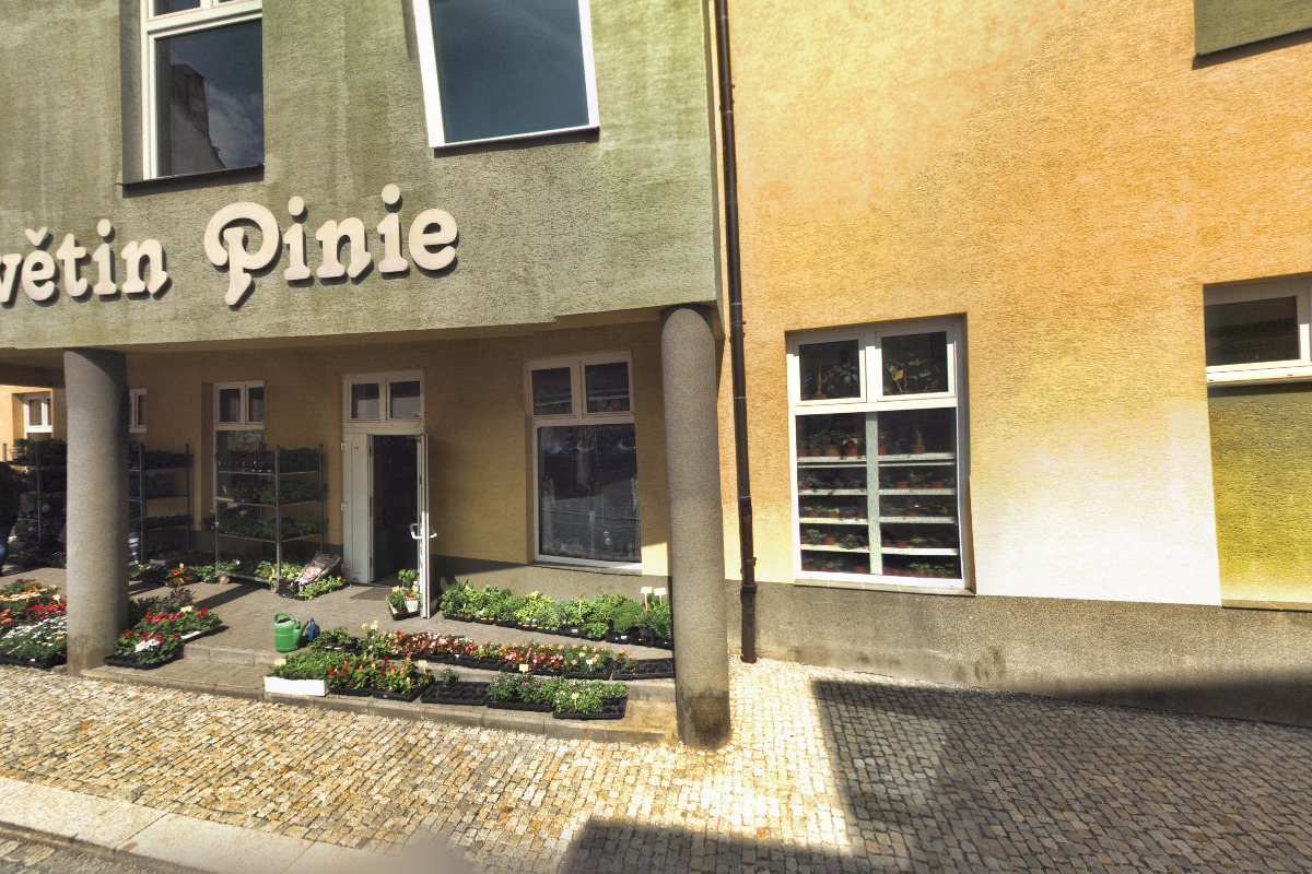 Dům květin Pinie foto 4