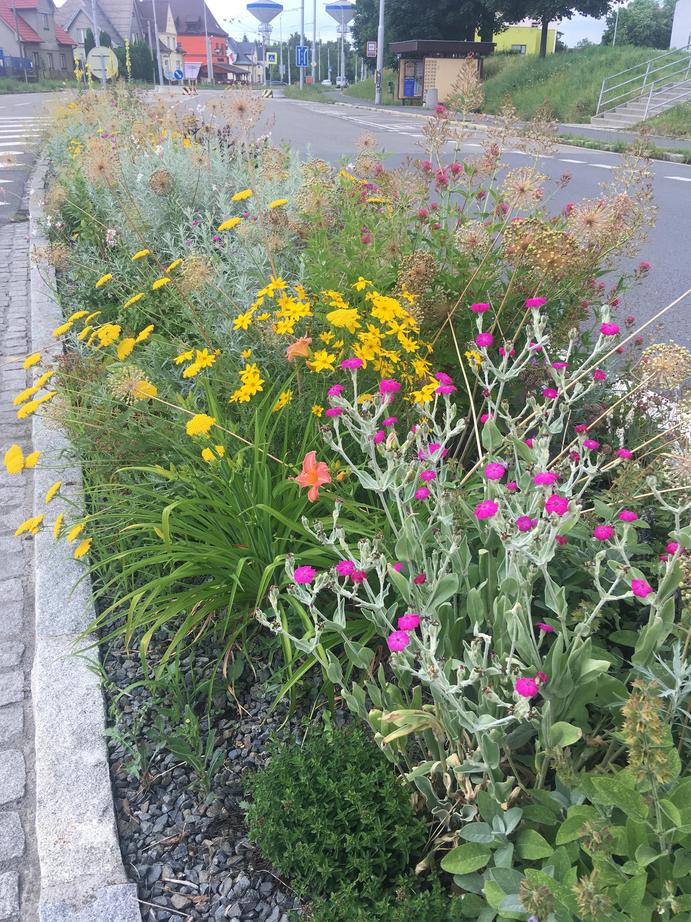 Zahradní architekt Tachezy Ivan foto 4