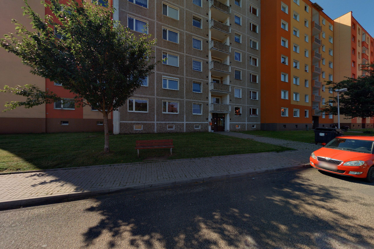 Efrain Alvarez - RIZIKOVÉ KÁCENÍ STROMŮ