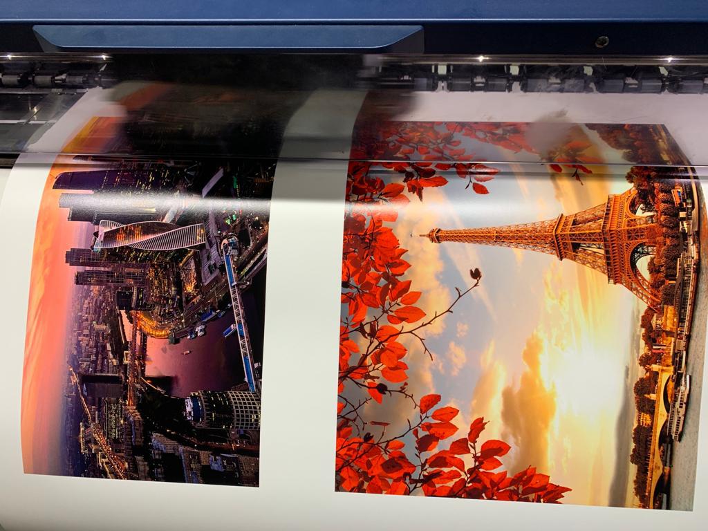 Tiskárna PROFIMAL Lednický foto 3