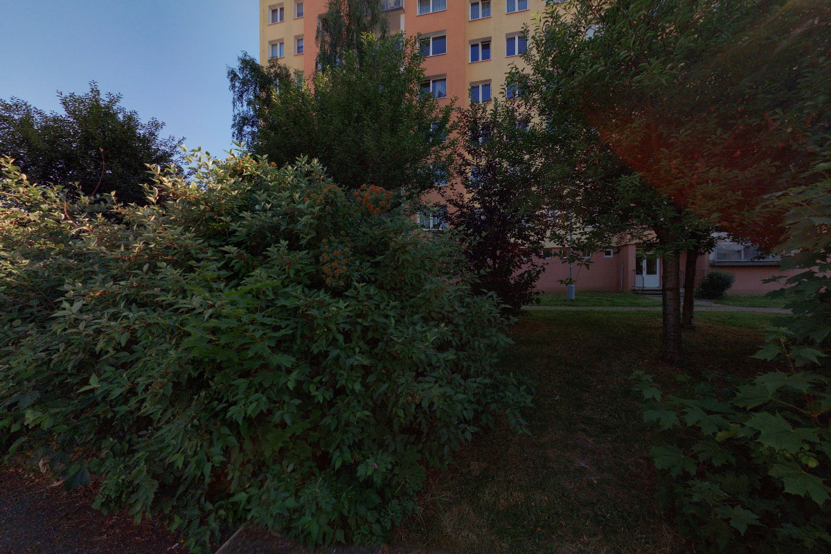 Ing. Marie Hajšmanová foto 2