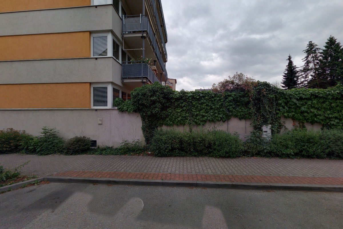 Bc. Petr Davídek foto 1