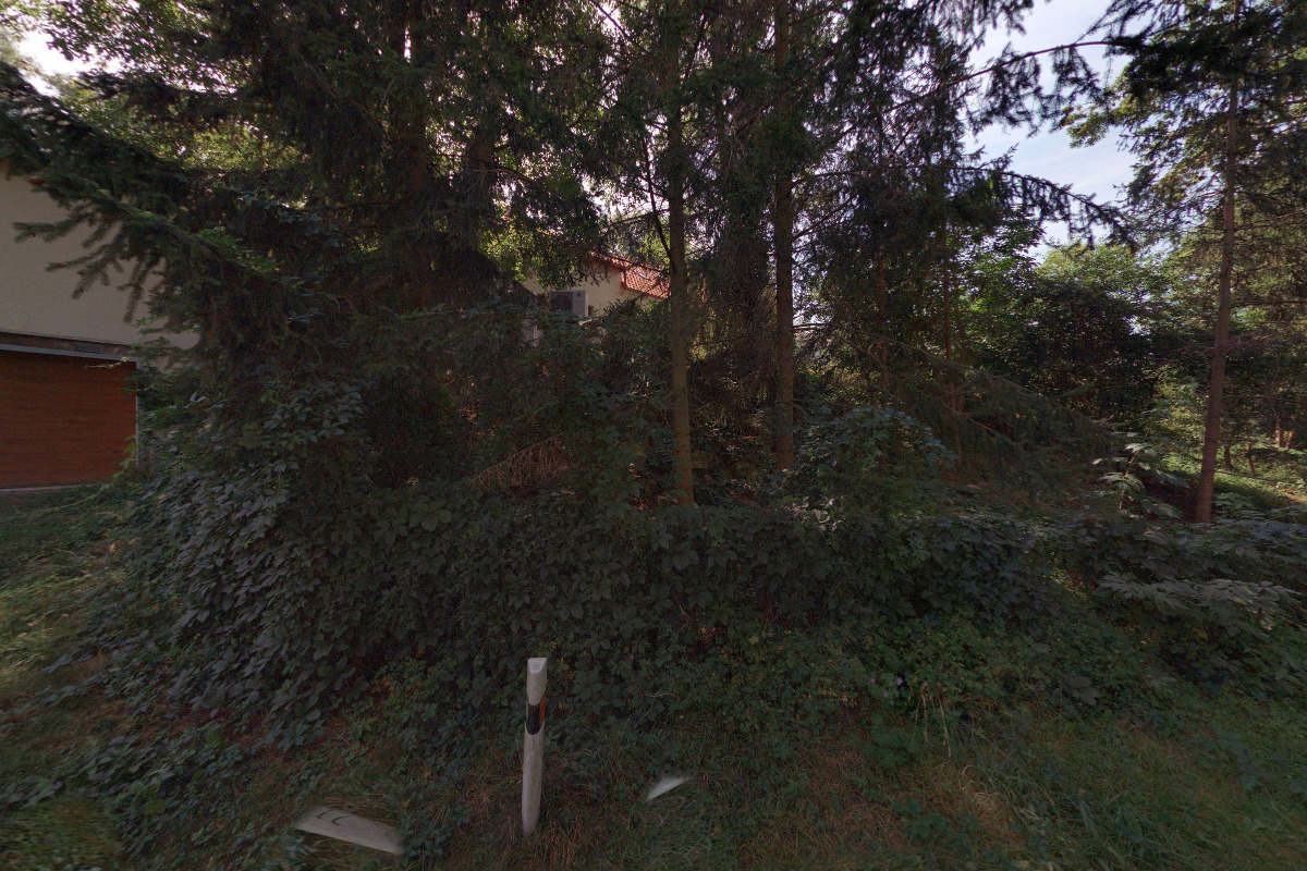 Petra Stahlová - rostlinná škola vaření